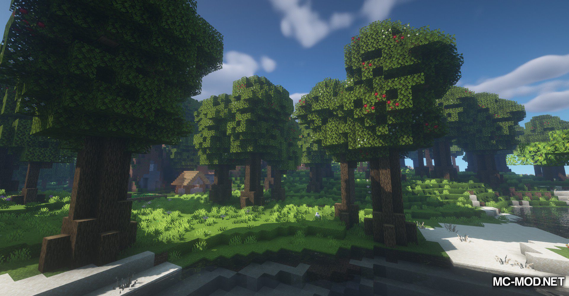 Mini Mod Reviews - Oh The Biomes You'll Go #mcyt#minecraft#minecraftme