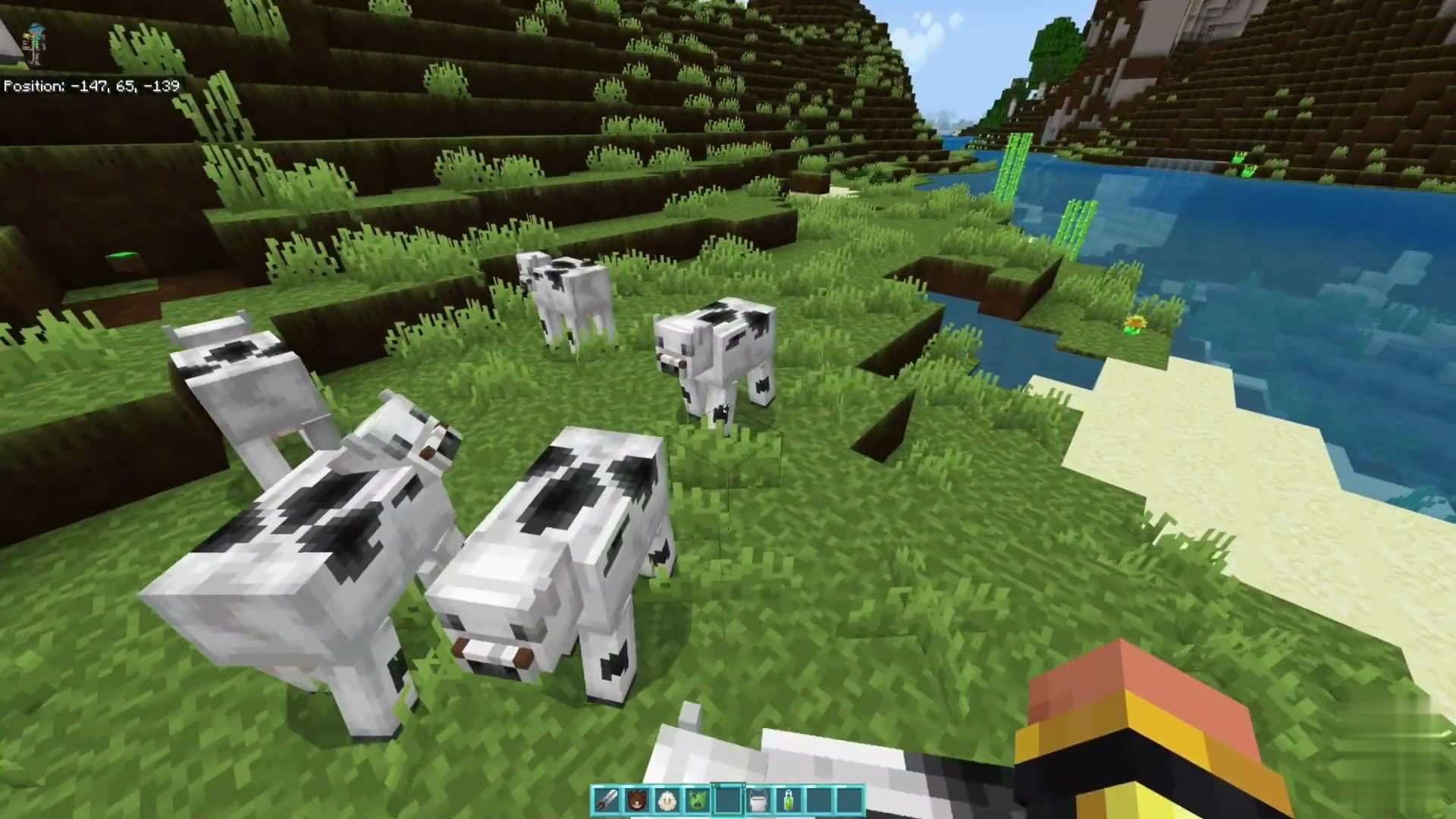 Vivid Visuals screenshot 3