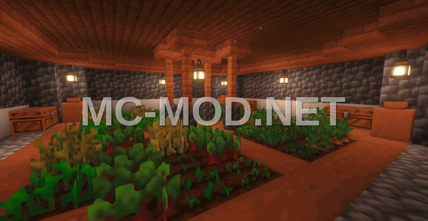 Acacia Copper Savanna House