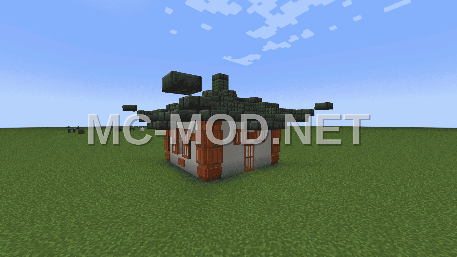 Asian Village Building