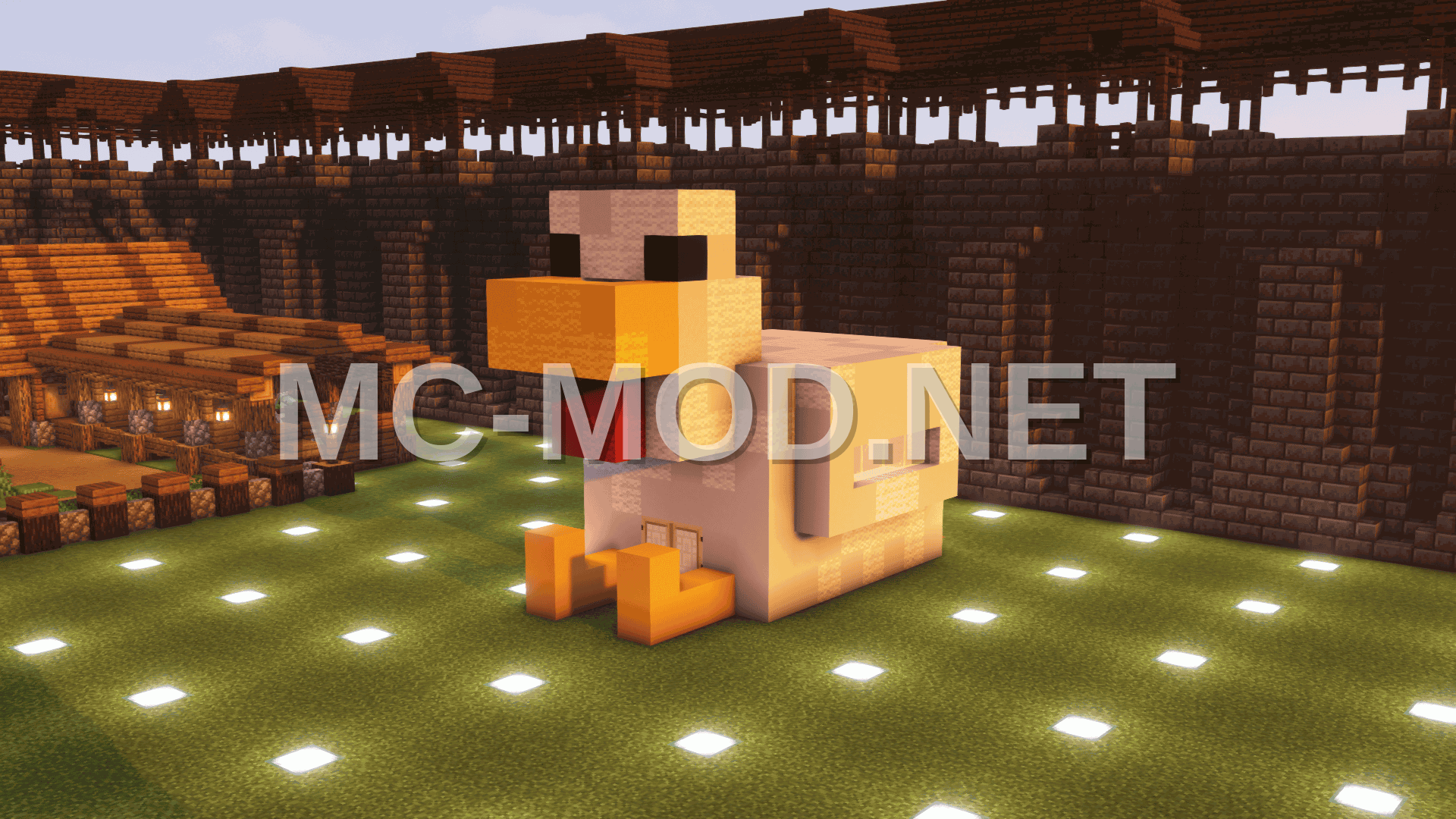 Automated Chicken Farm
