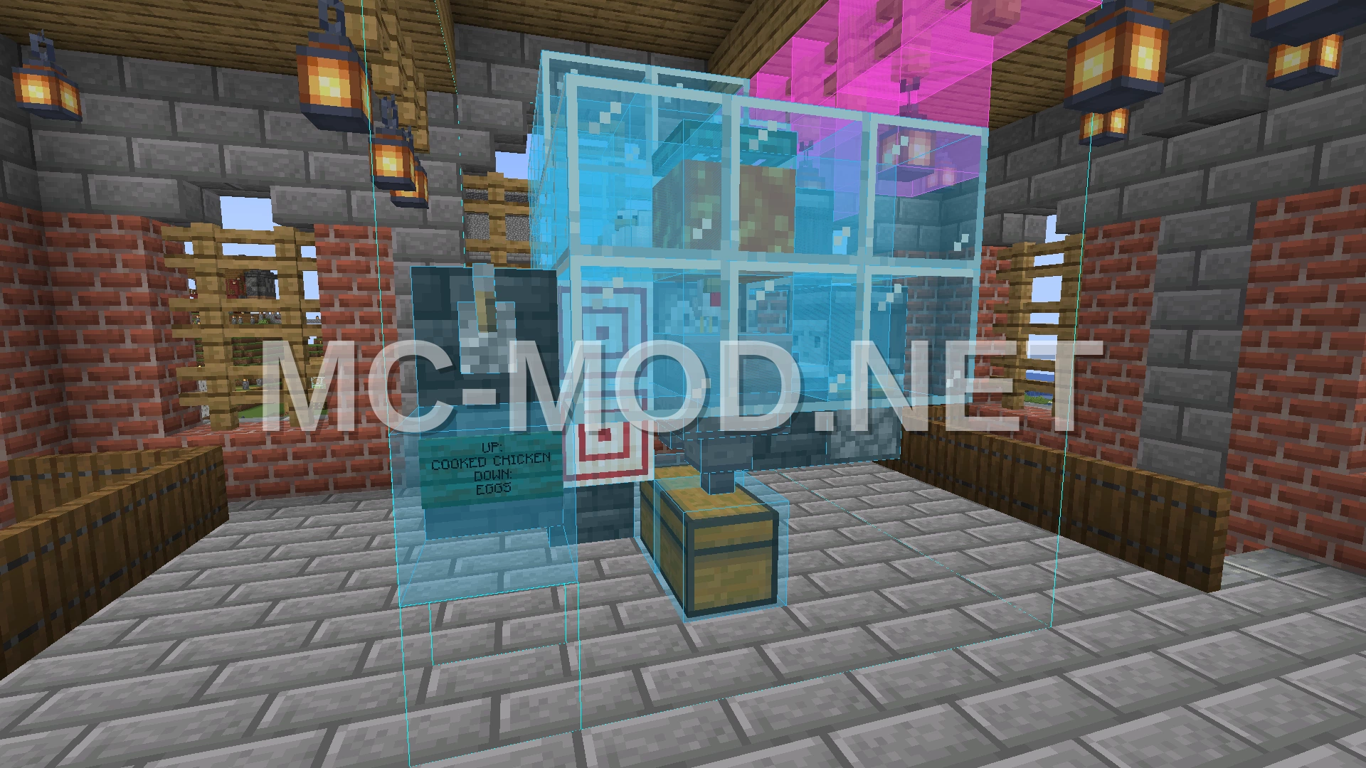 Automated Chicken Farm With Egg Collection