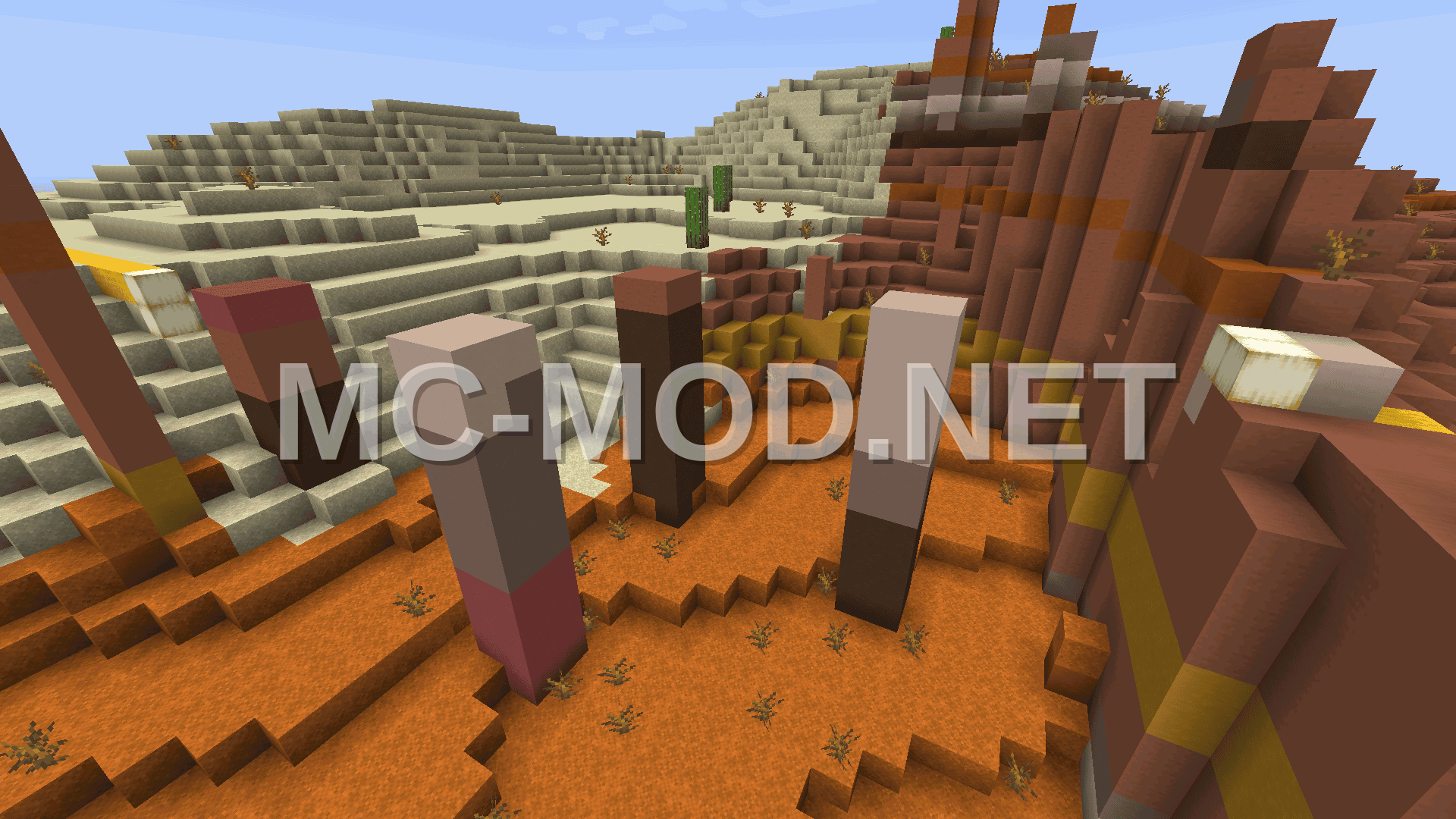 Camel Racing Desert Adventure