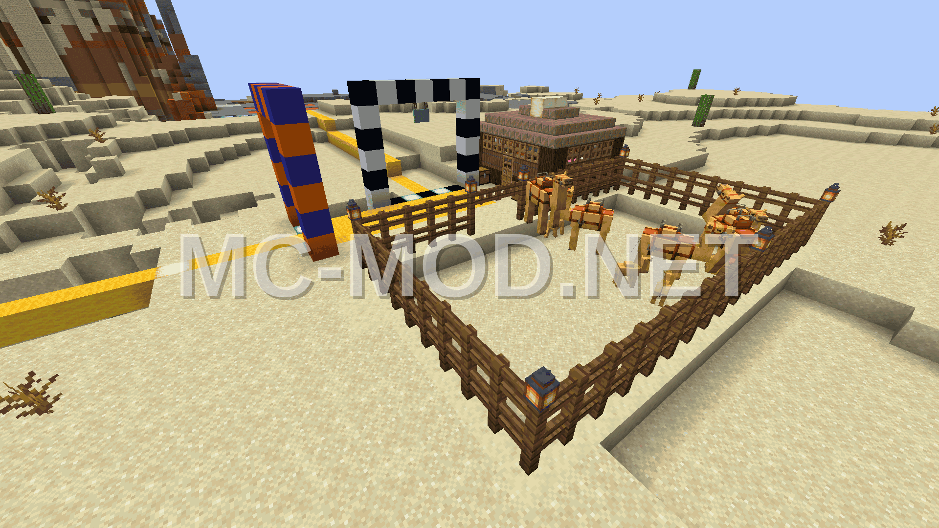 Camel Racing Desert Adventure
