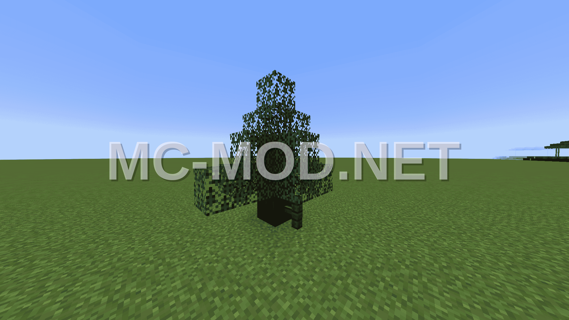 Custom Spruce Tree Design