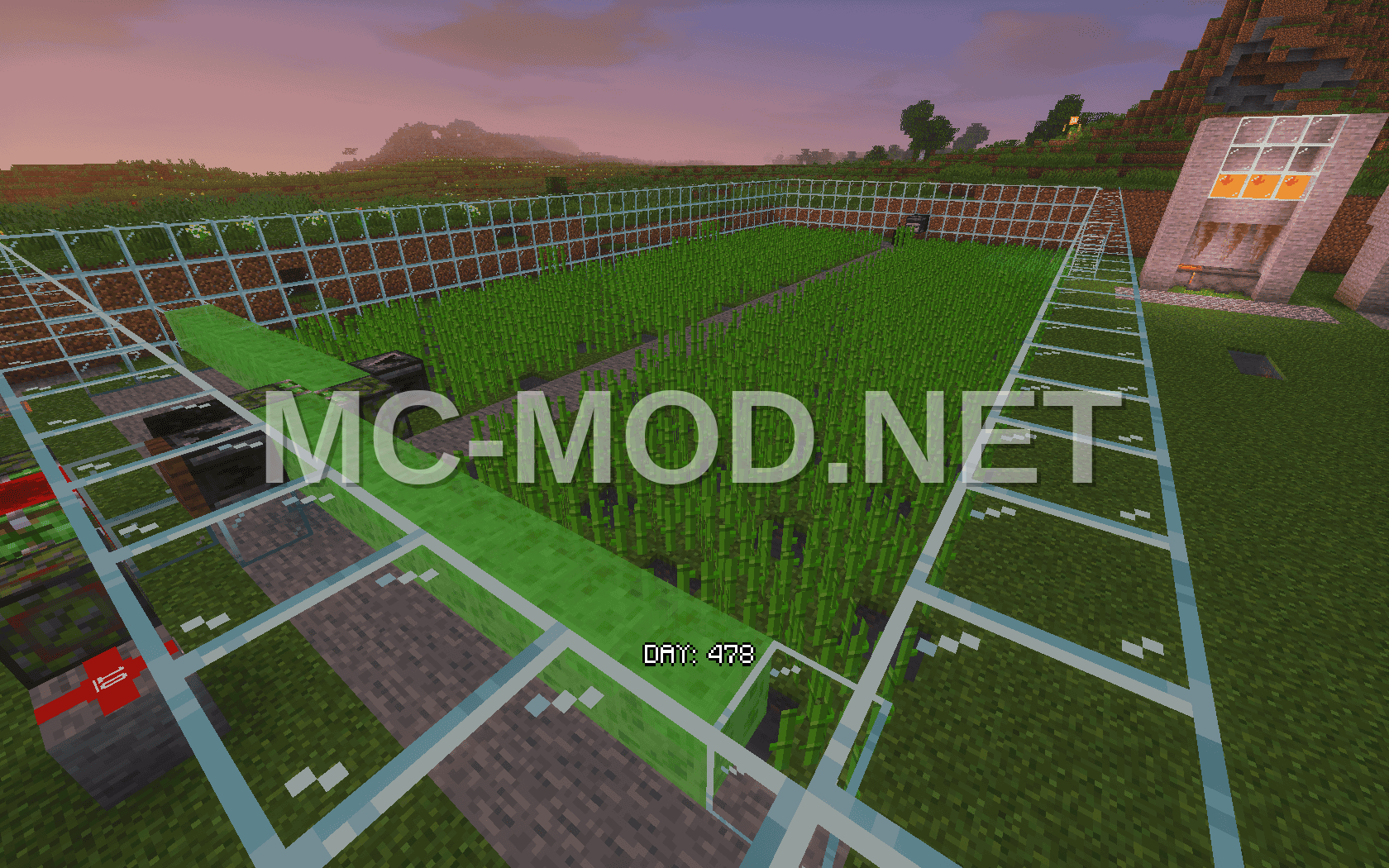 Efficient Sugar Cane Farm
