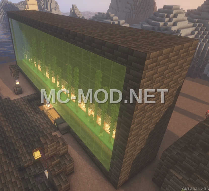 Efficient Thin Bamboo Farm