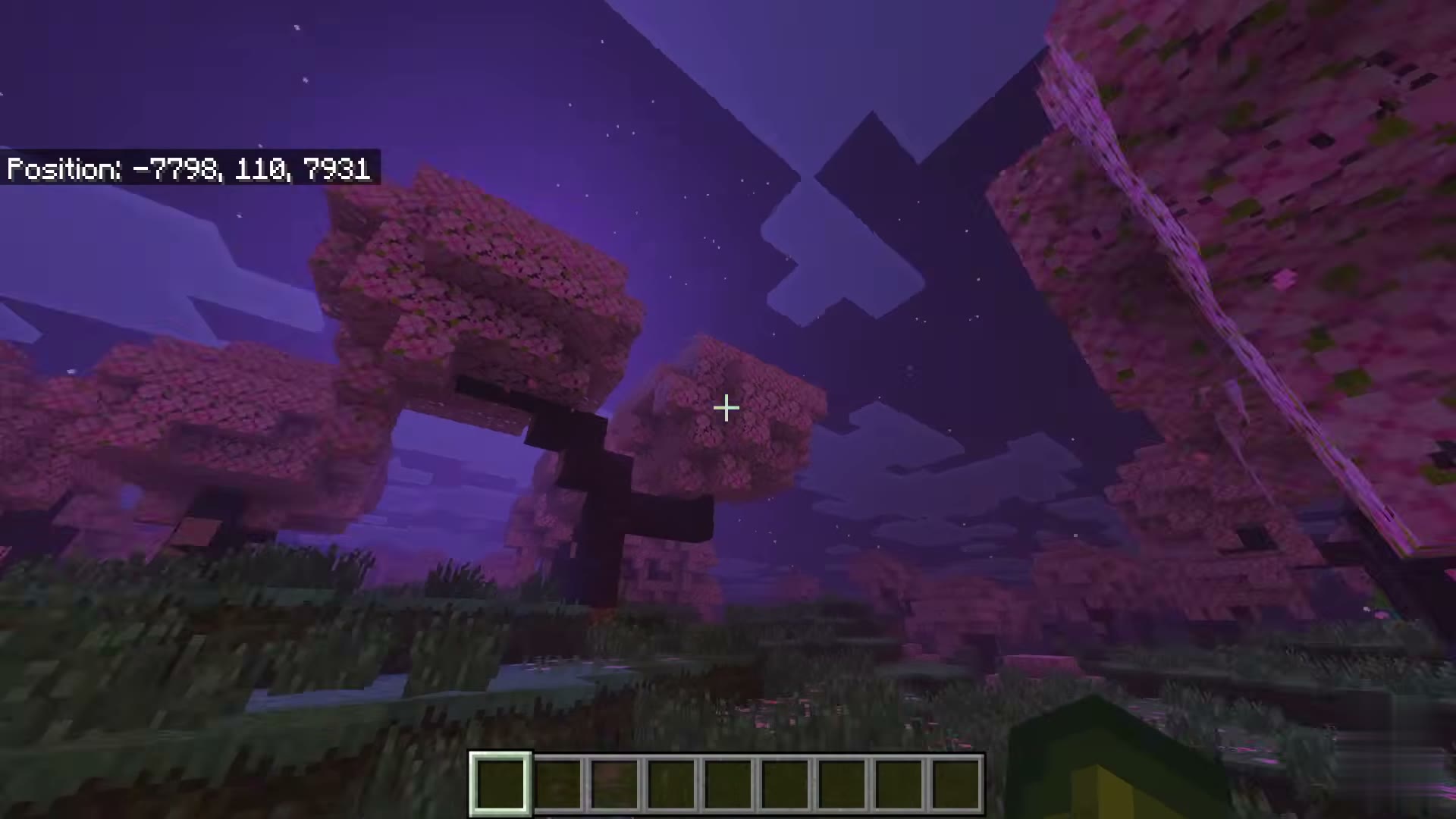 Enhanced Graphics screenshot 11