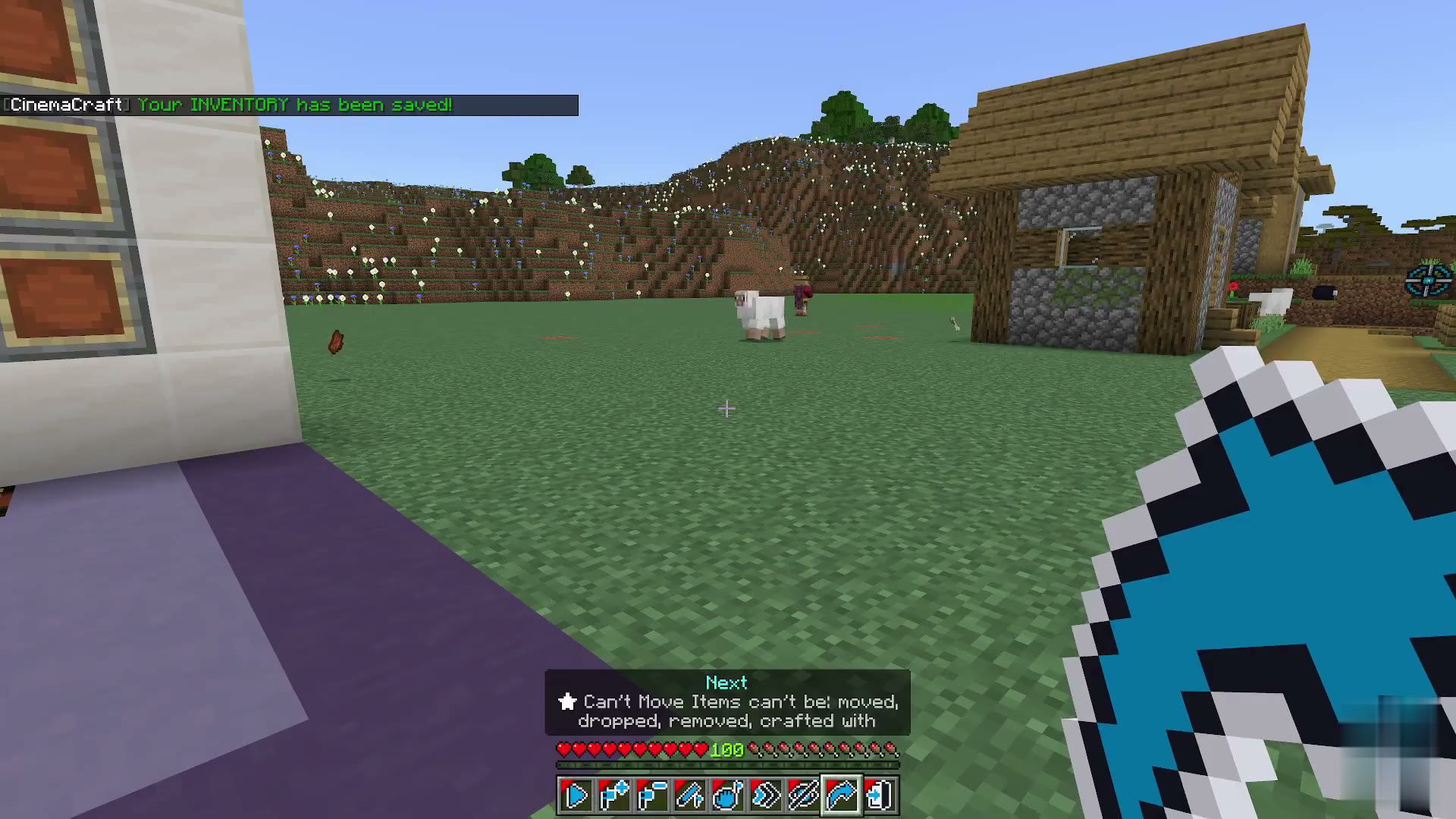 Film Maker screenshot 14