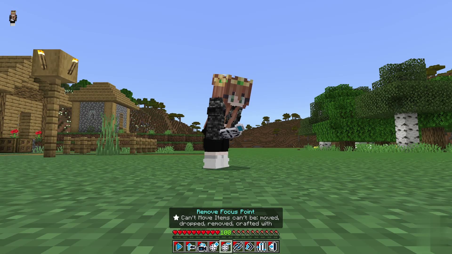Film Maker screenshot 15