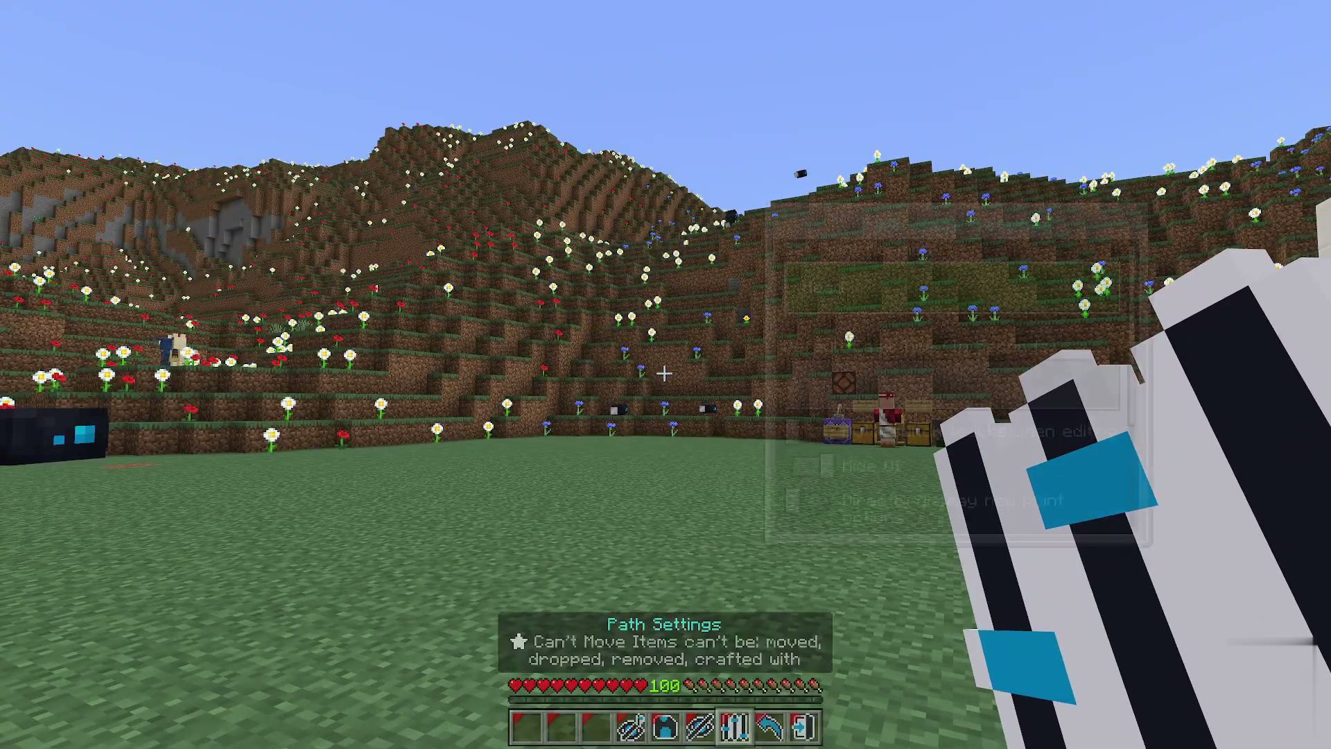 Film Maker screenshot 2