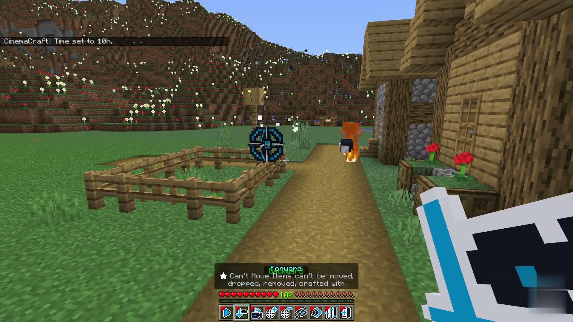 Film Maker screenshot 8