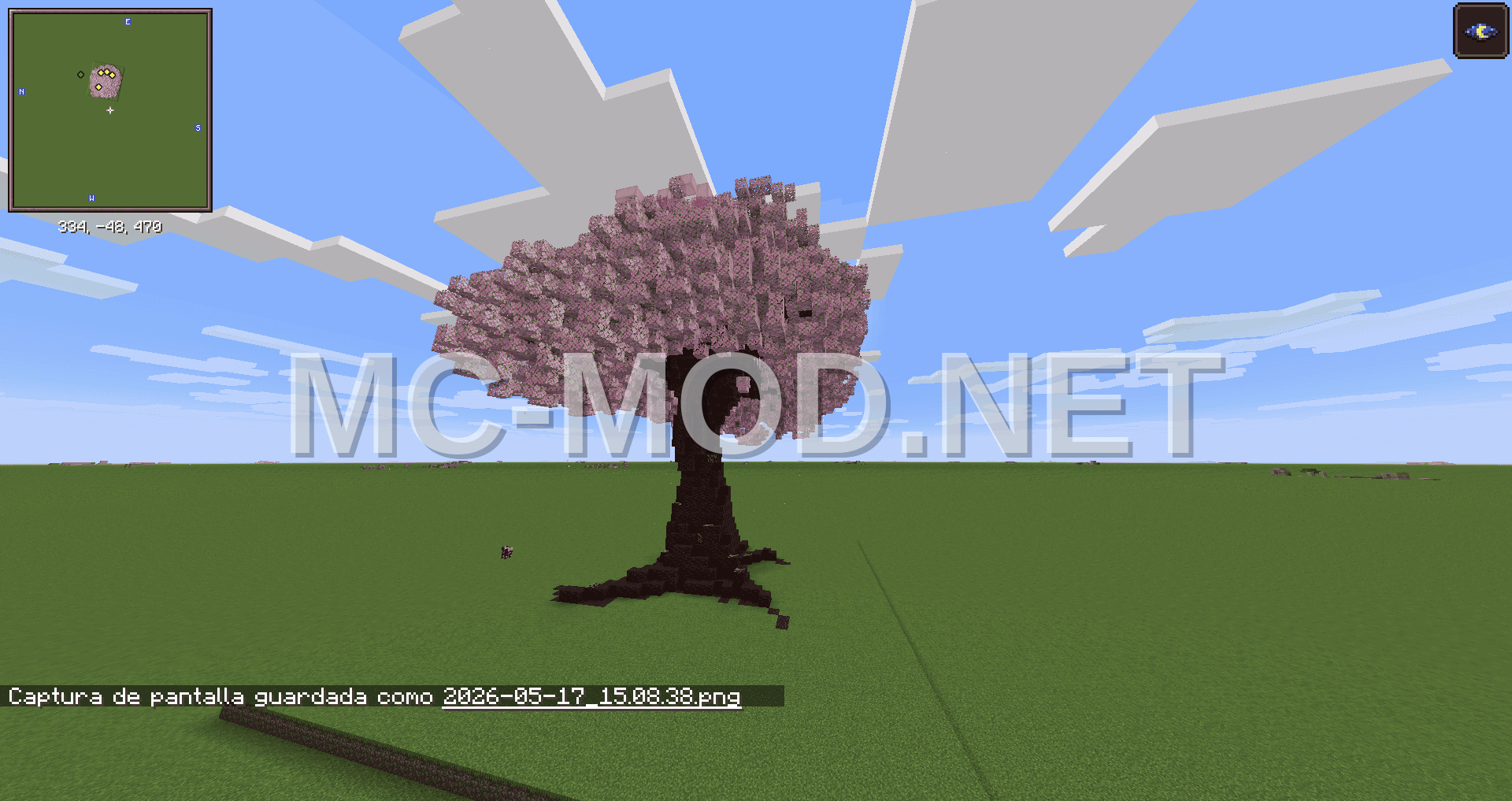 Large Cherry Blossom Tree