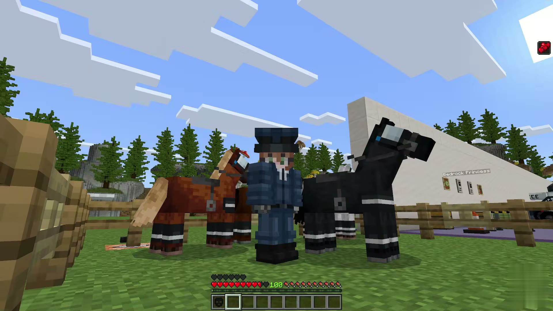 Law Enforcement screenshot 3