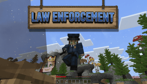 Law Enforcement thumbnail