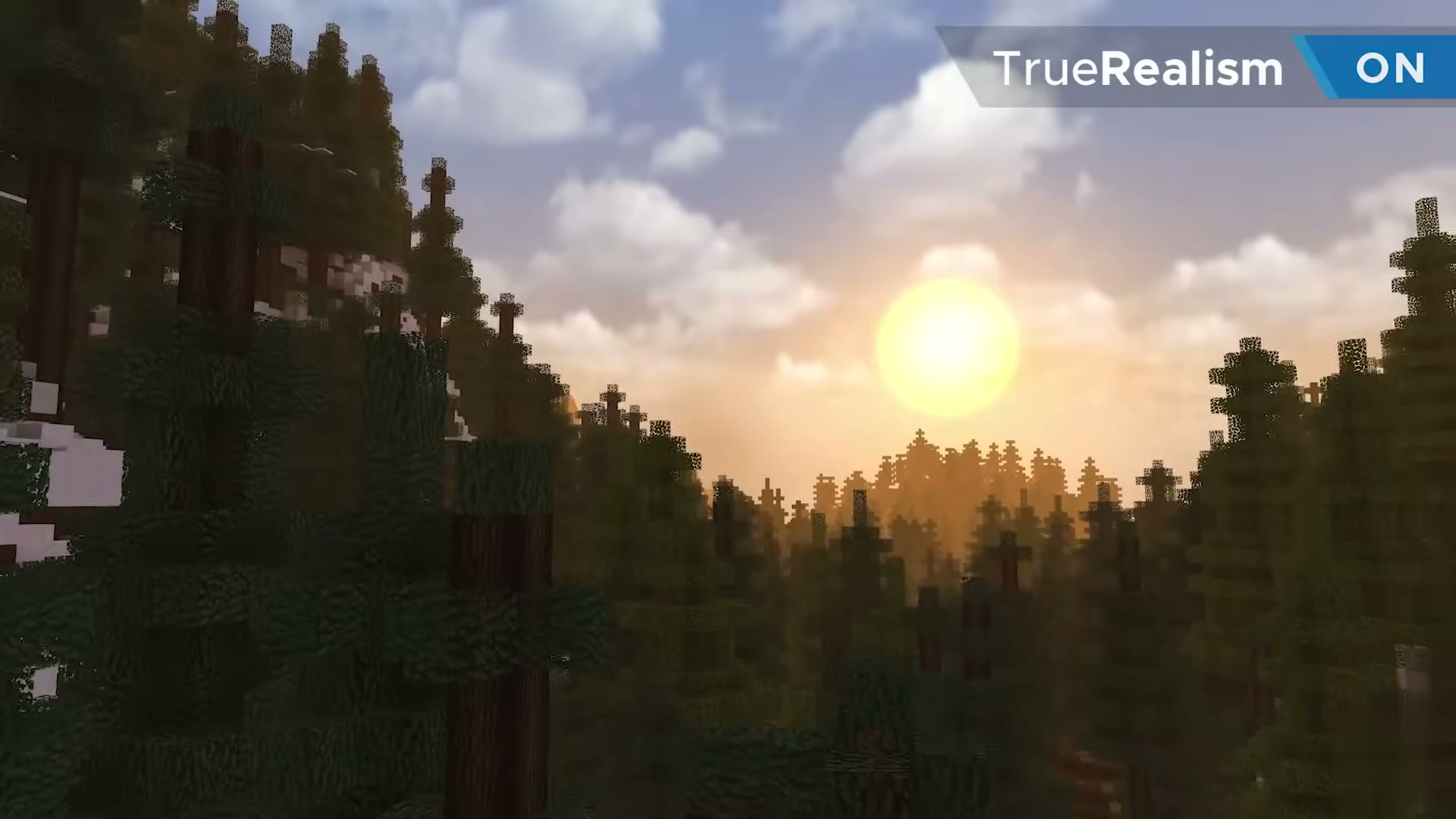 Lifelike Visuals screenshot 1