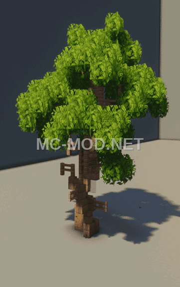 Medium Pine Tree For Realistic Worlds