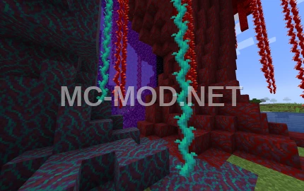 Nether Mushroom Portal