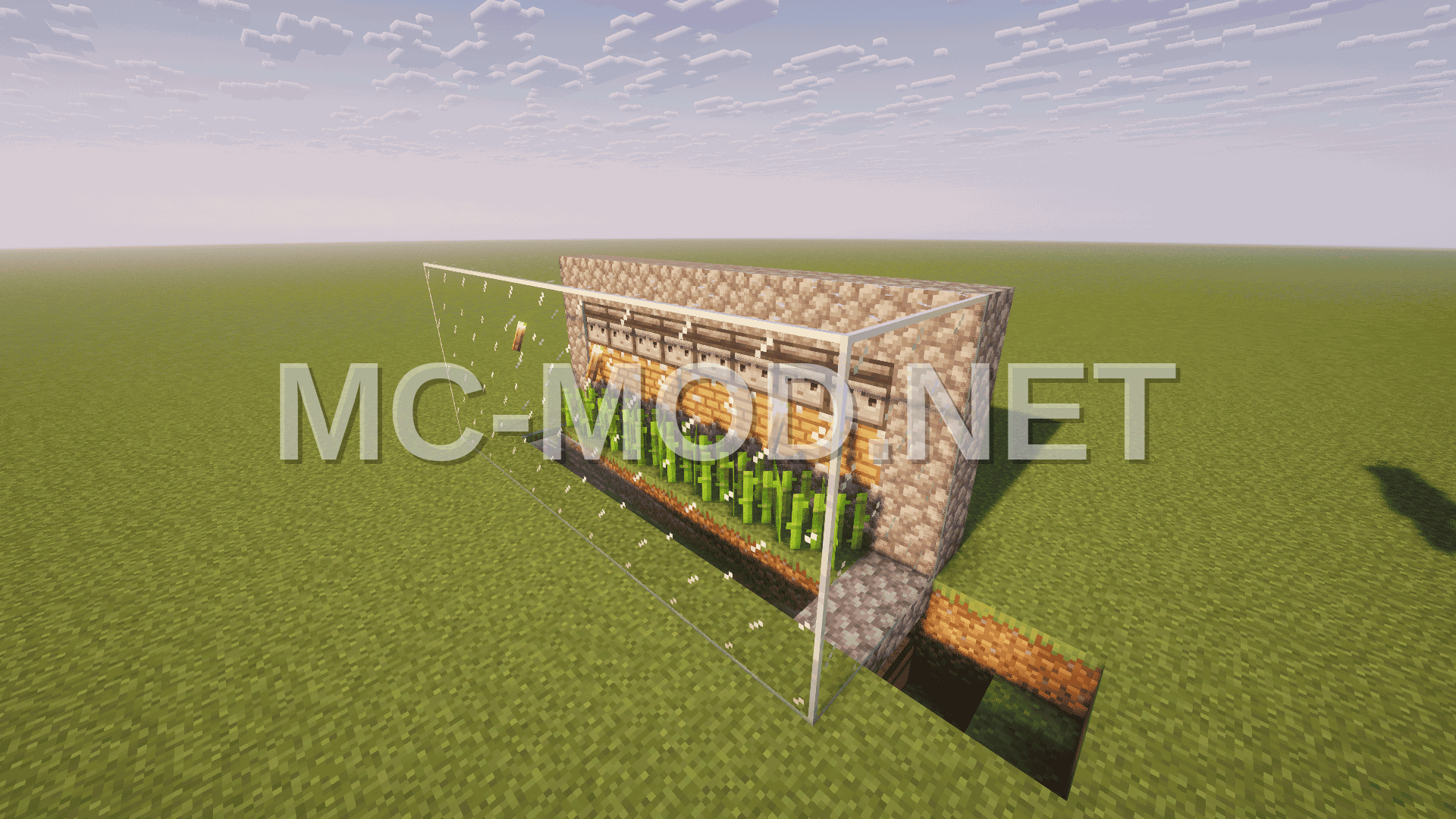 Simple Sugar Cane Farm