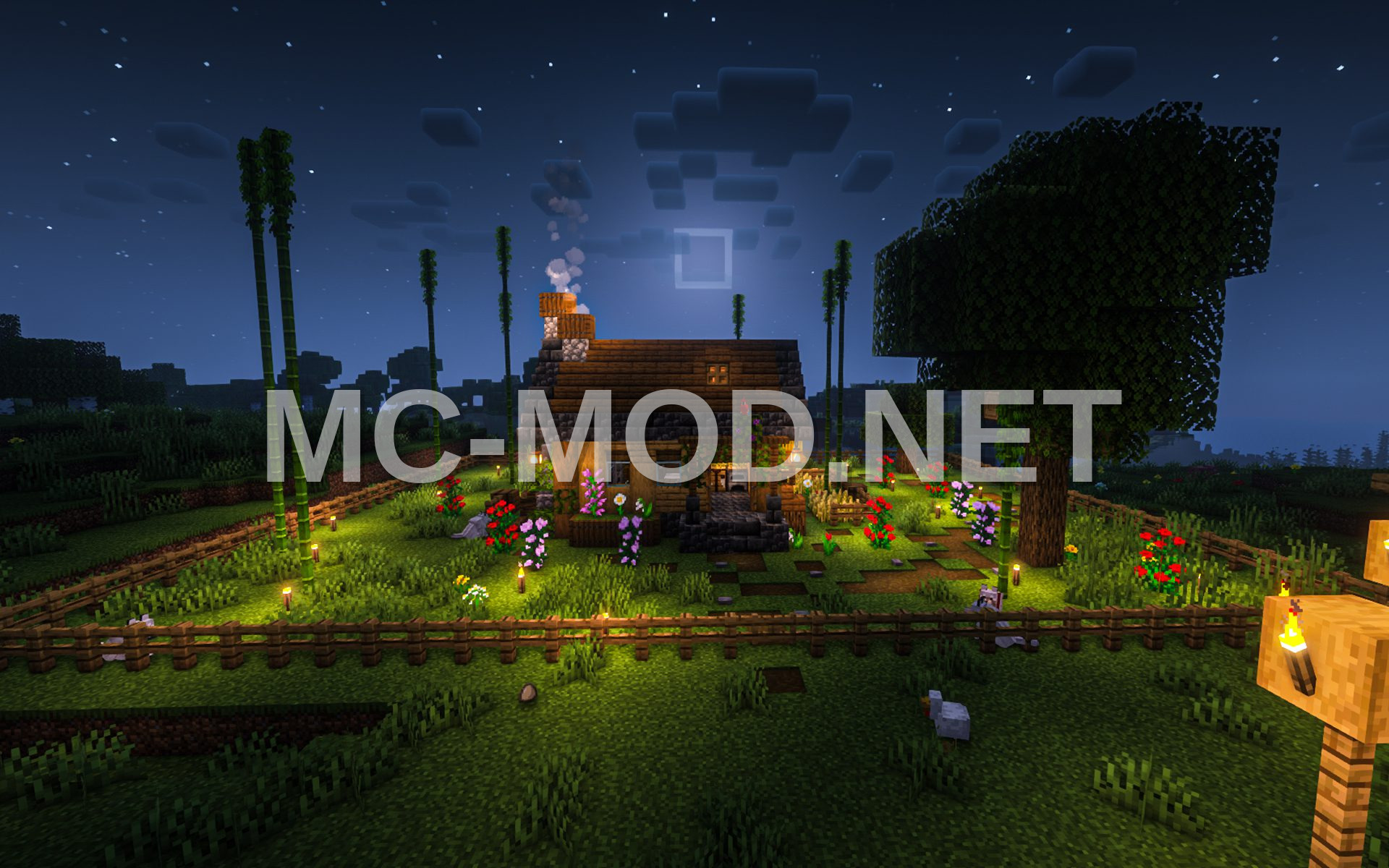 Small Starter House