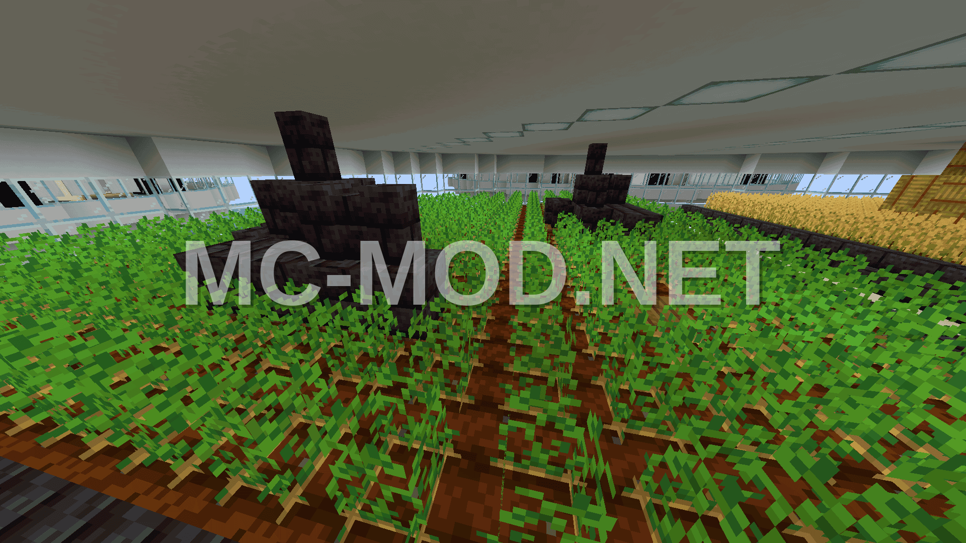 Sustainable Medium Base