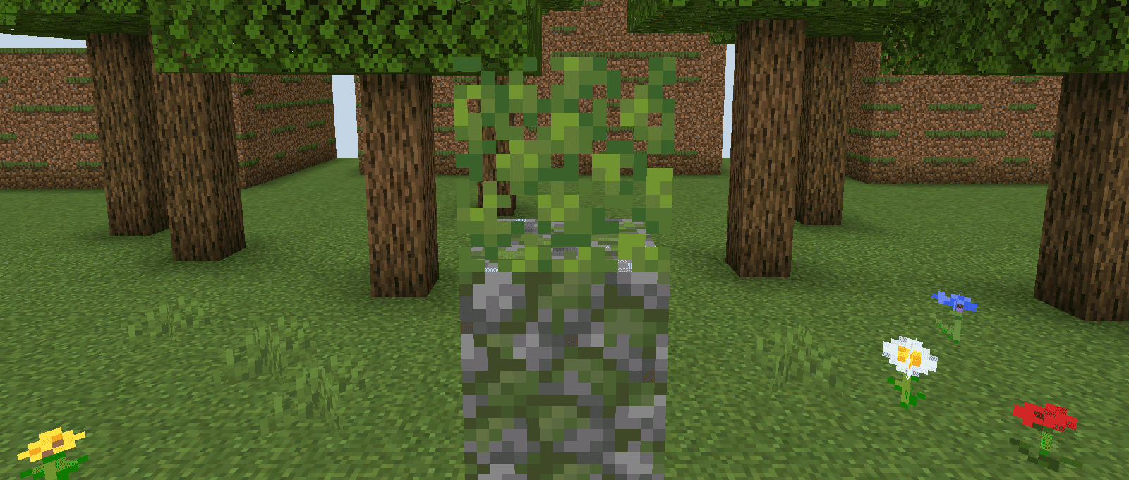 Time of Year screenshot 11