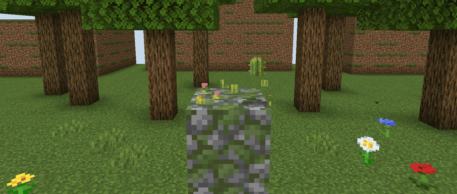 Time of Year screenshot 15