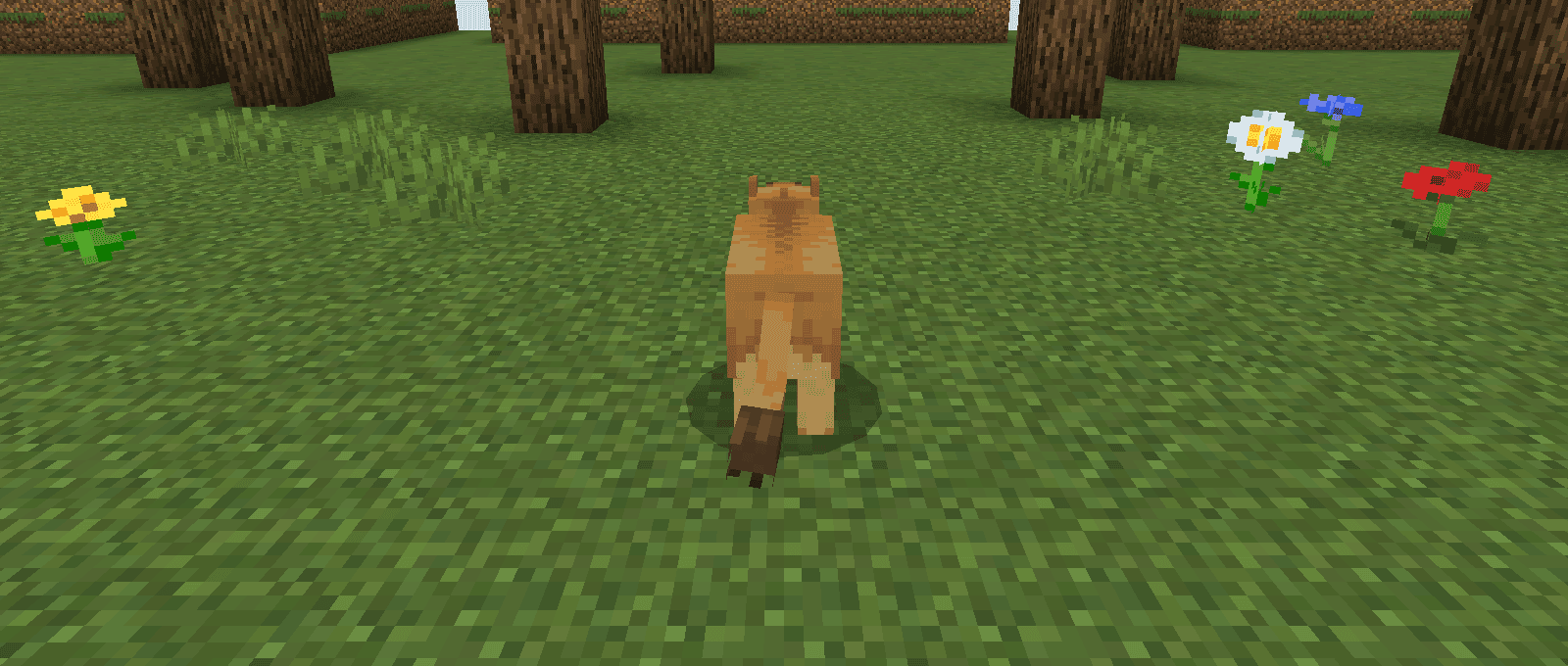 Time of Year screenshot 6