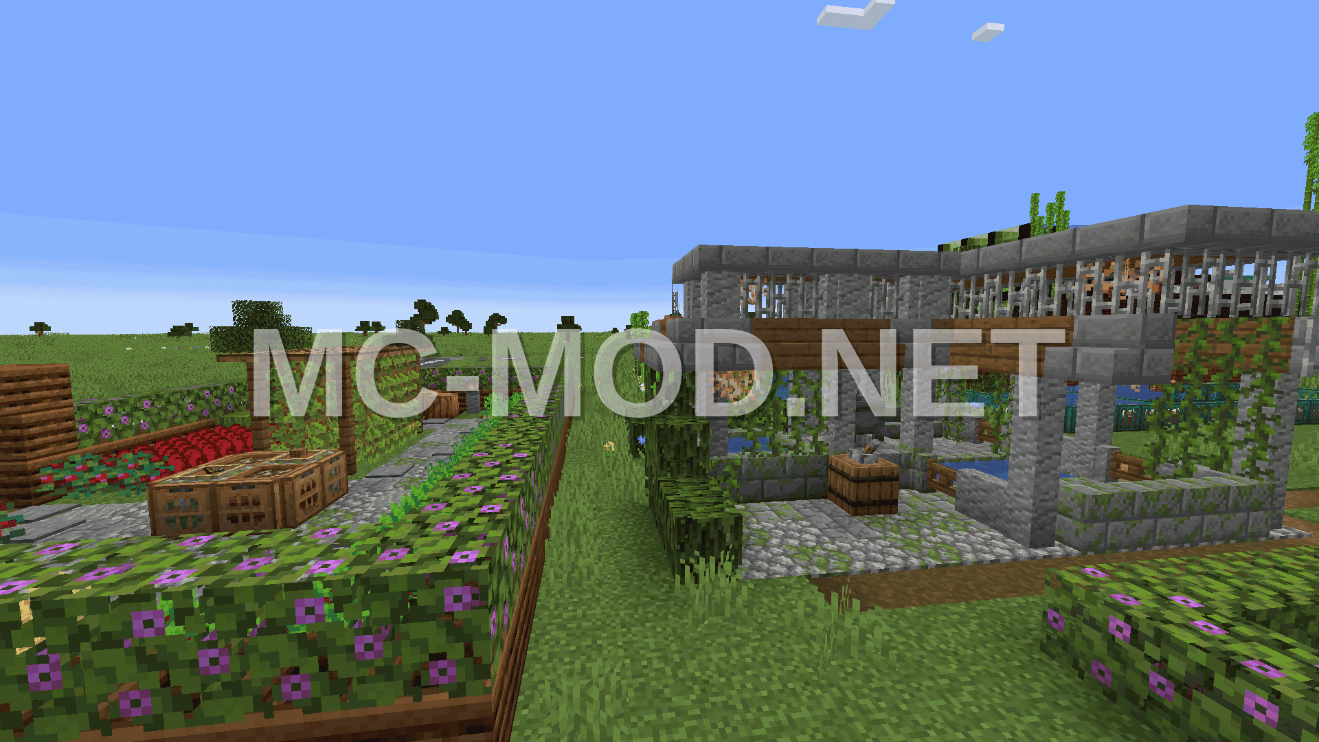 Town Vegetable Garden and Well