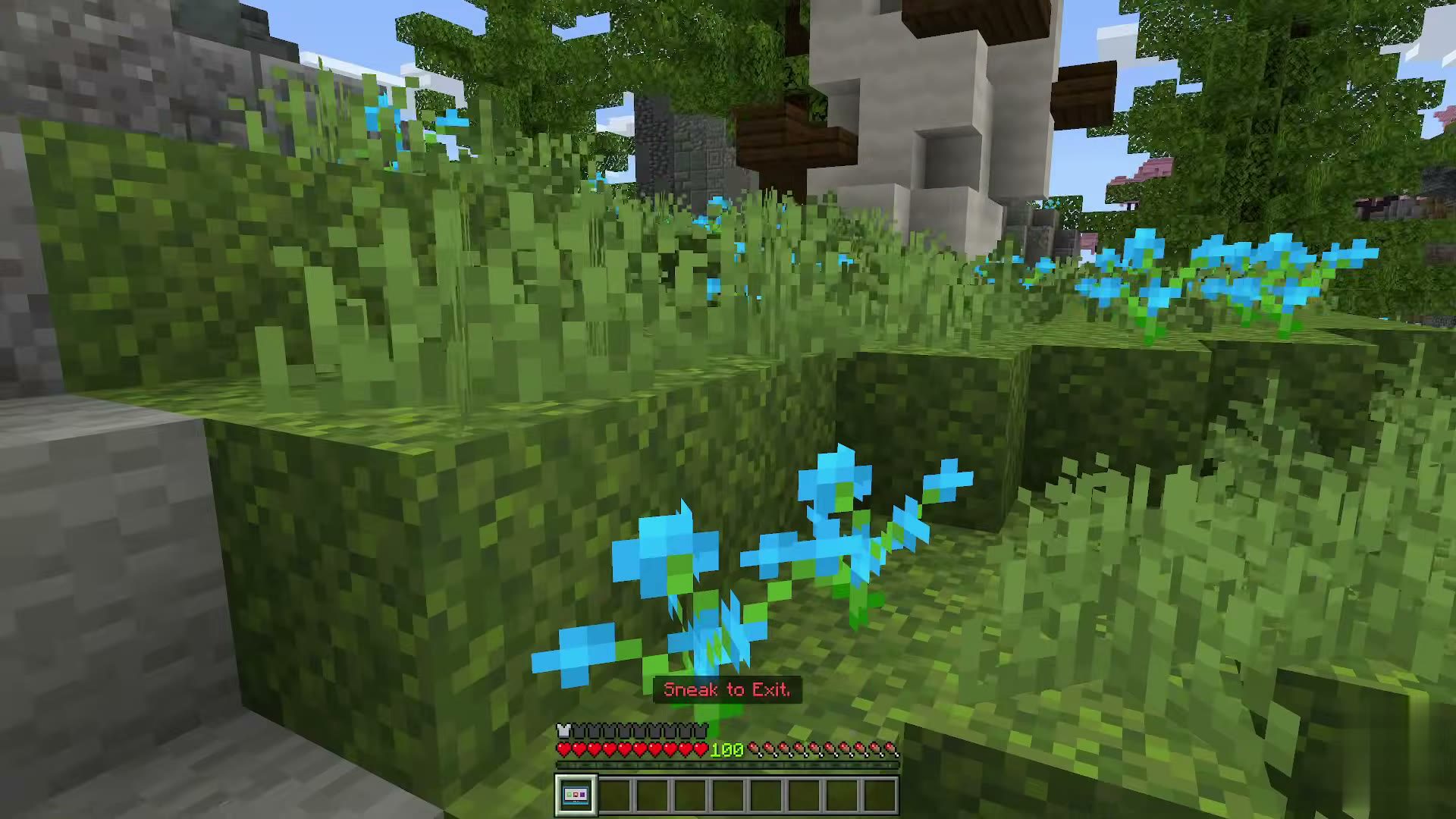 Viewer Tools screenshot 1