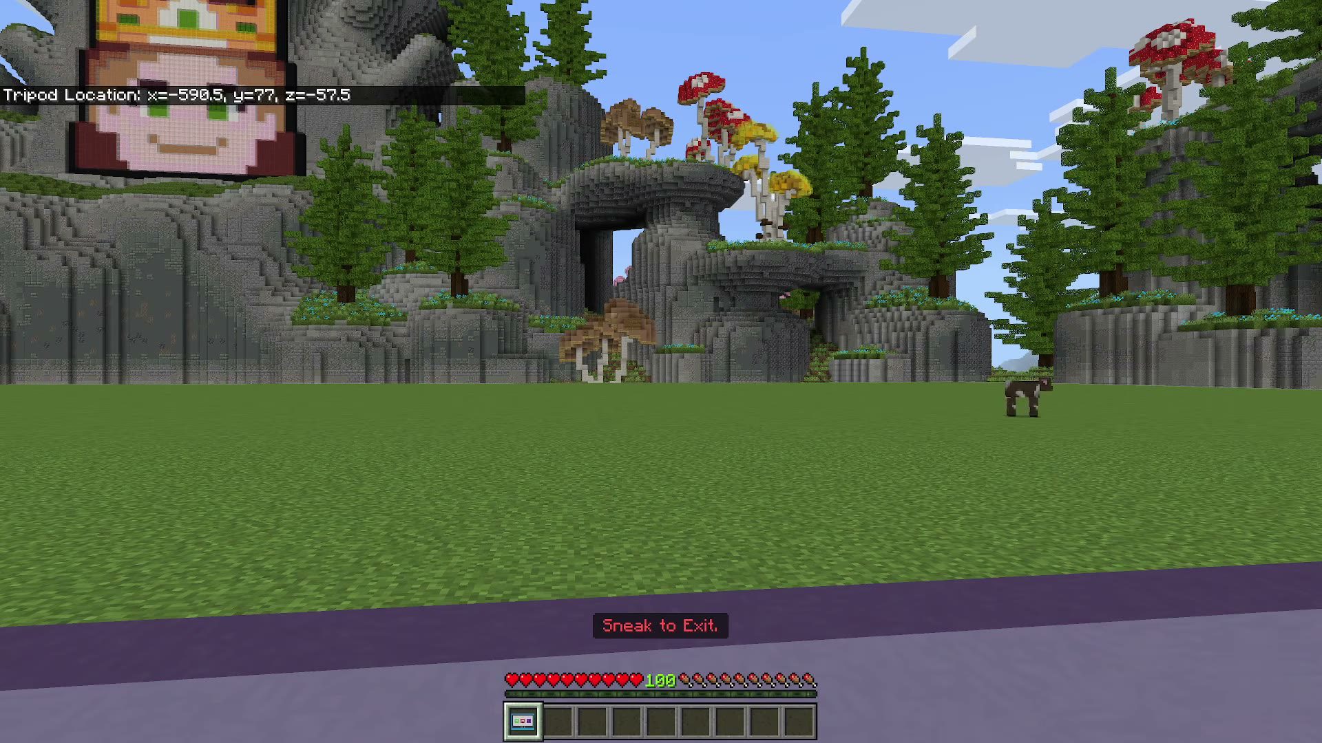 Viewer Tools screenshot 10