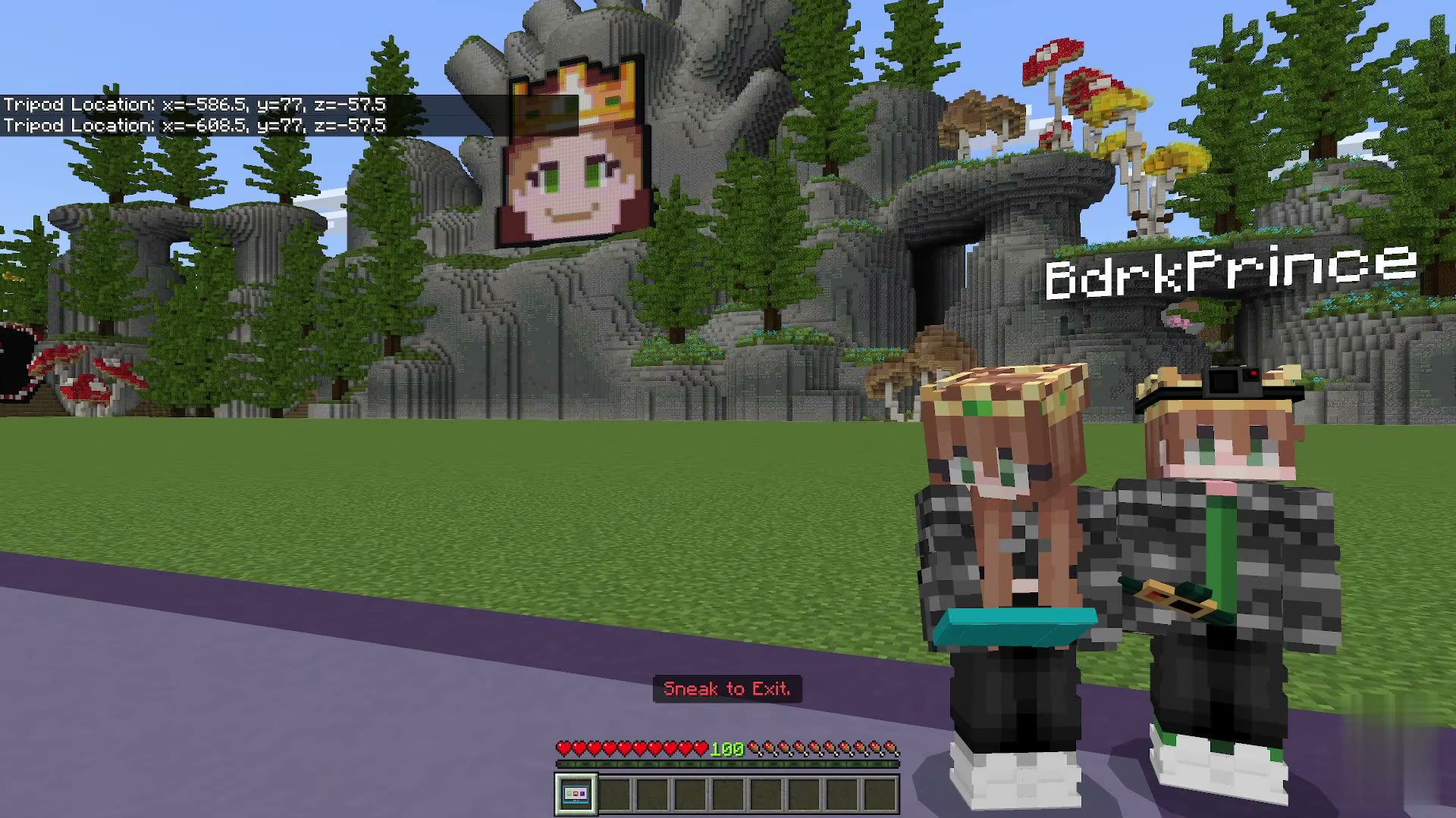 Viewer Tools screenshot 13