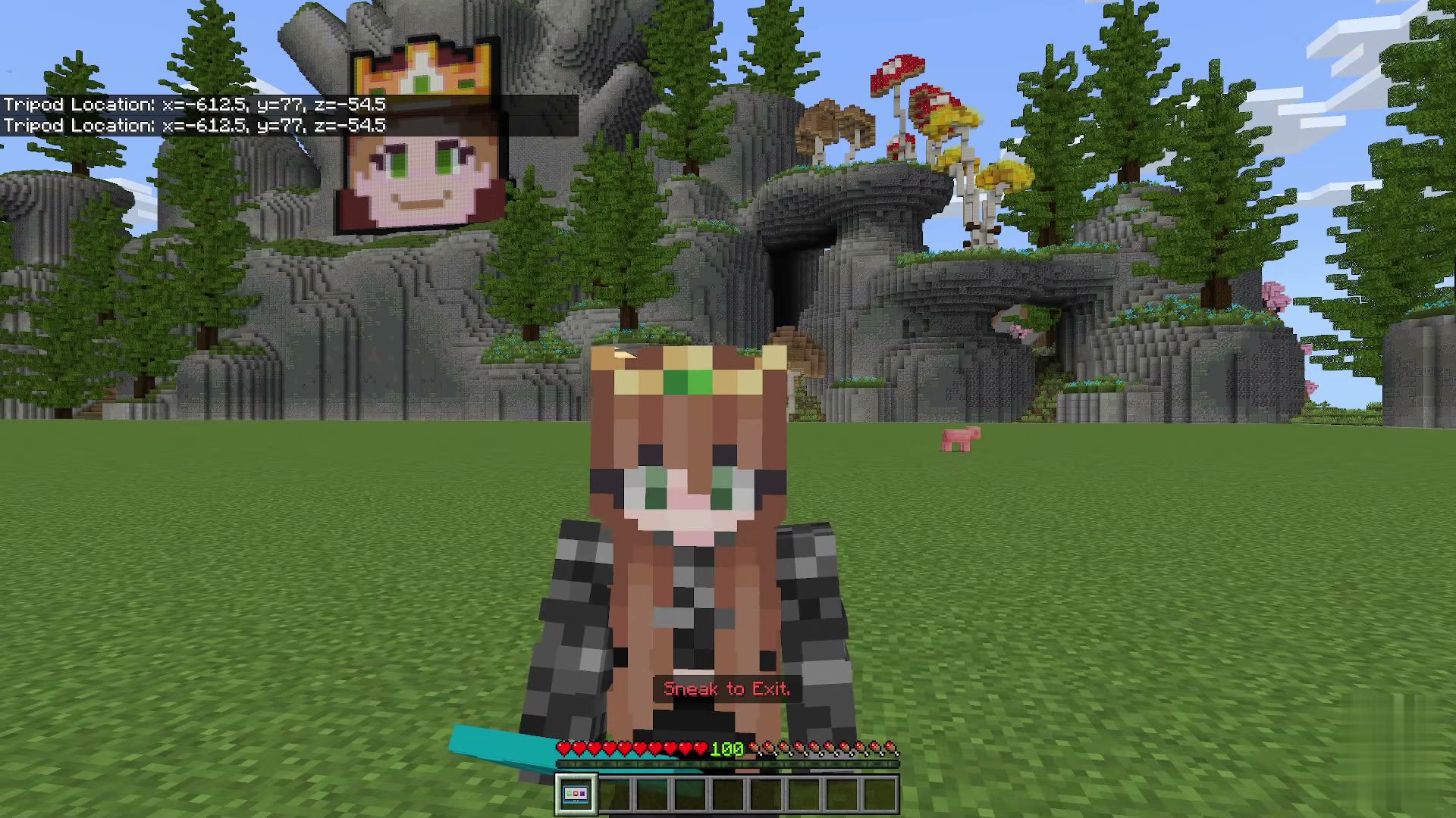 Viewer Tools screenshot 6