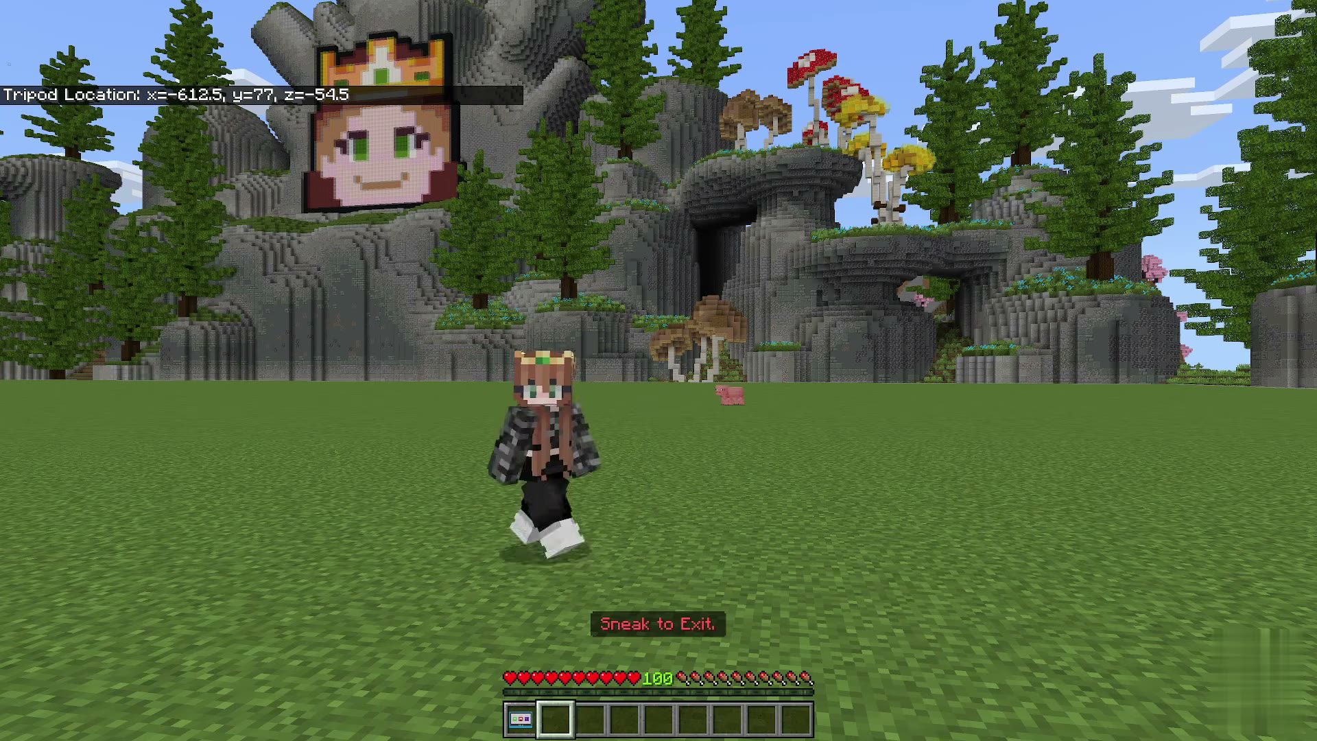Viewer Tools screenshot 8