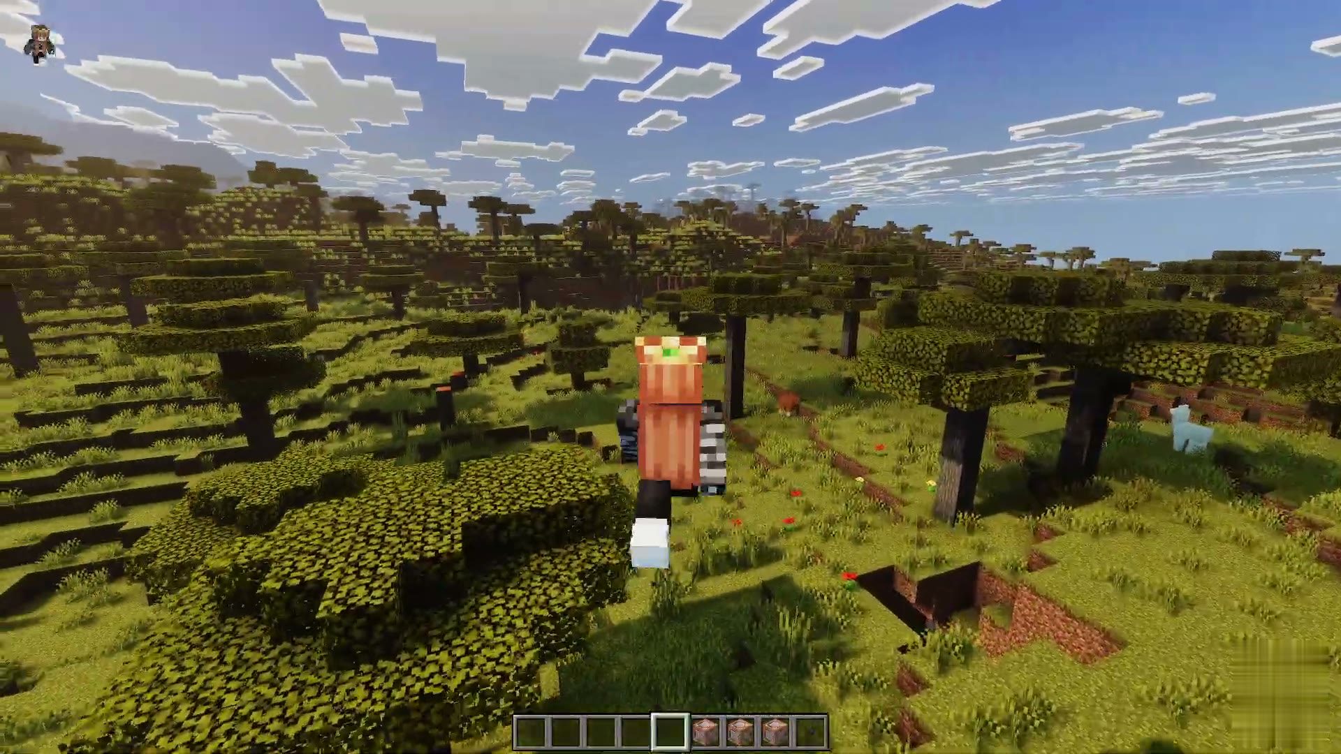 Vivid Scenery screenshot 3