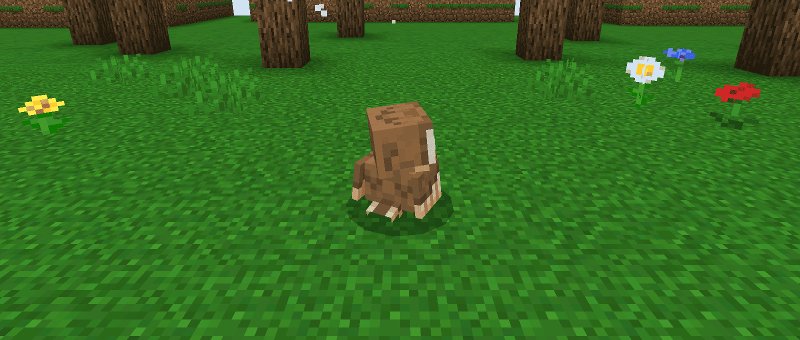 Winged Companions screenshot 5