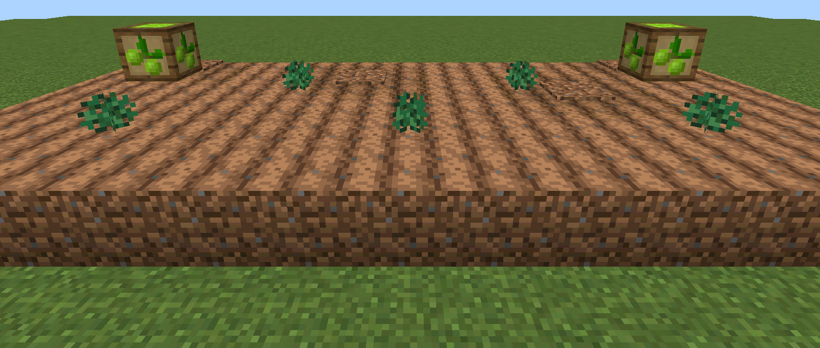 XP Food screenshot 3