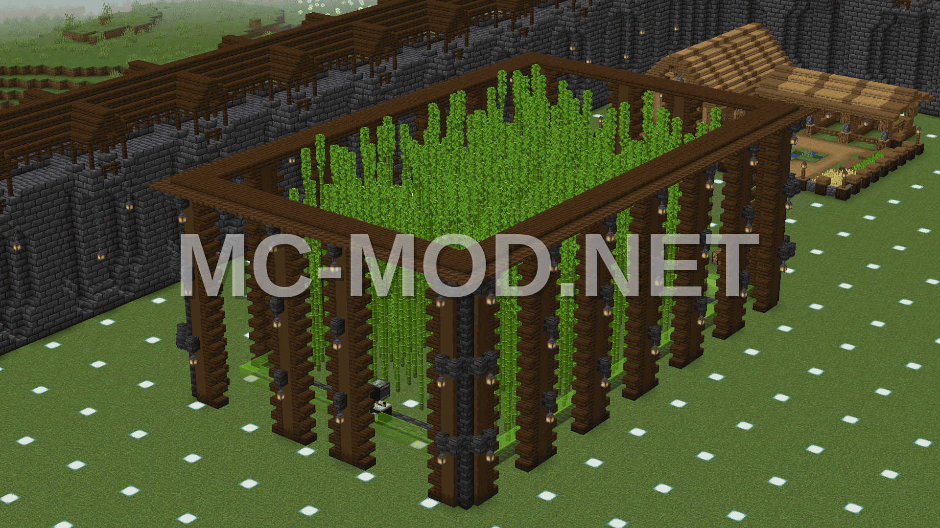 Automatic Bamboo Farm