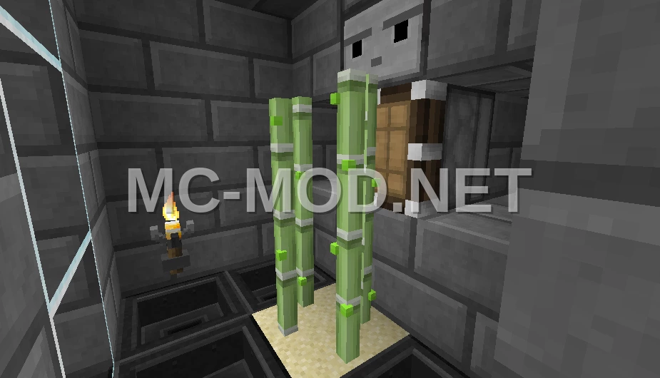 Small Stone Brick Sugar Cane Farm
