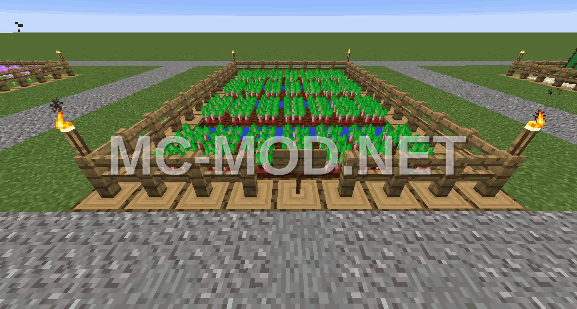 Beet Farm Structure