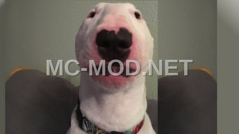 Bull Terrier Pixel Art Meme