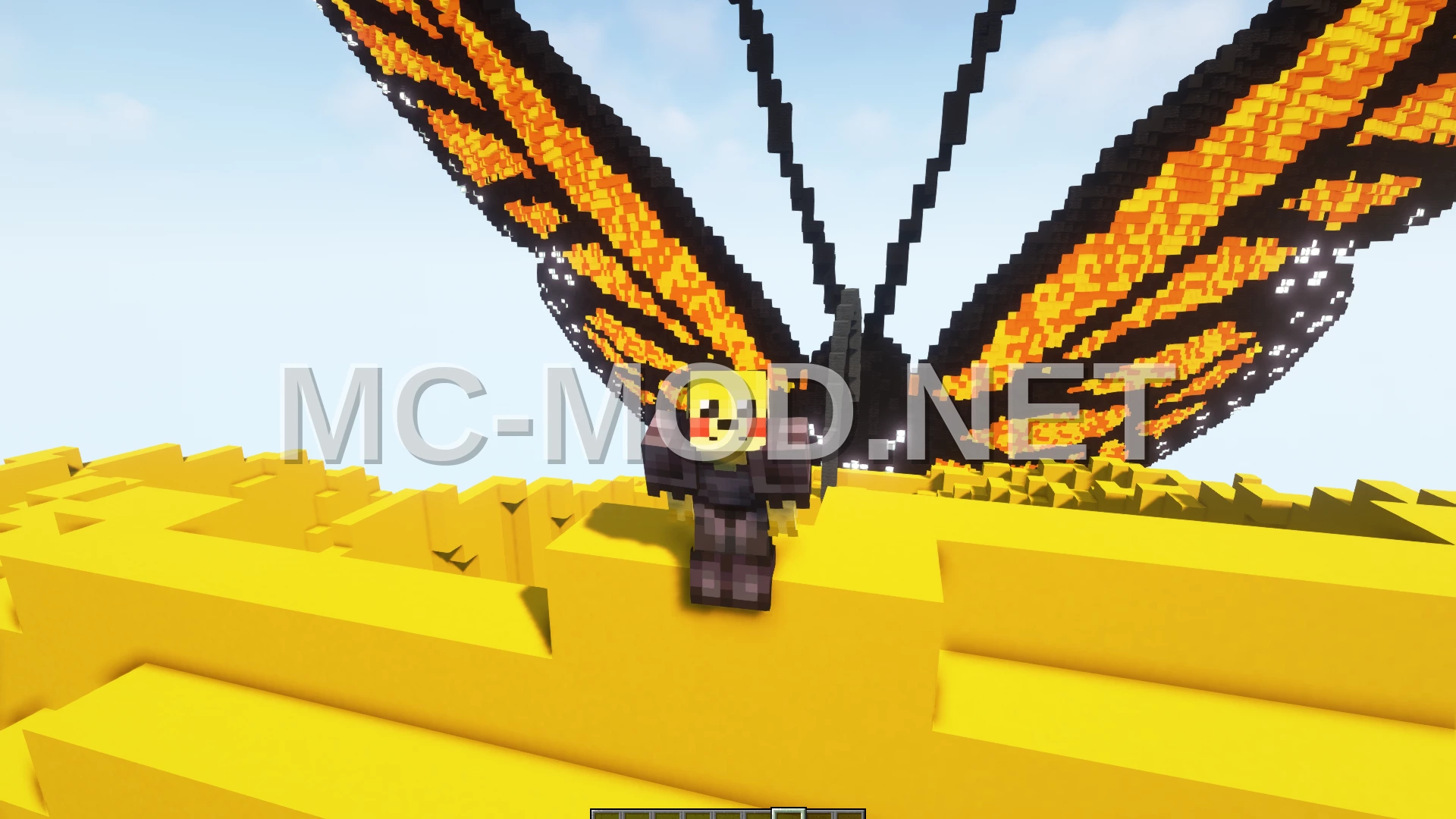Butterfly and Tulip Build