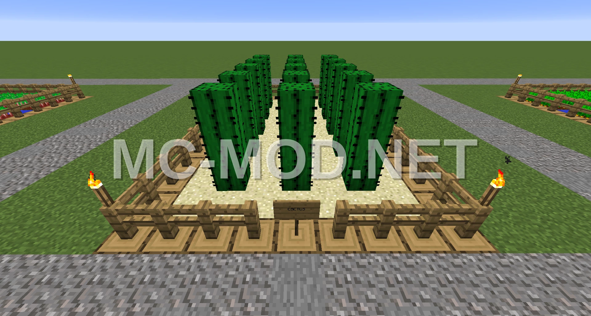 Small Cactus Farm Schematic
