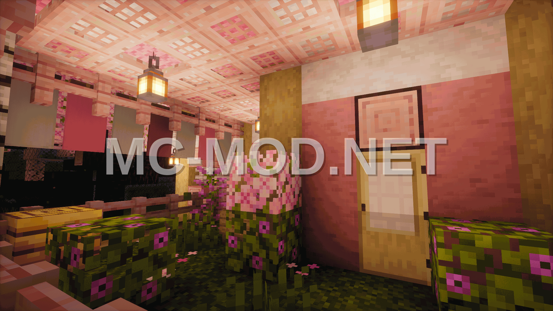 Aesthetic Pink House