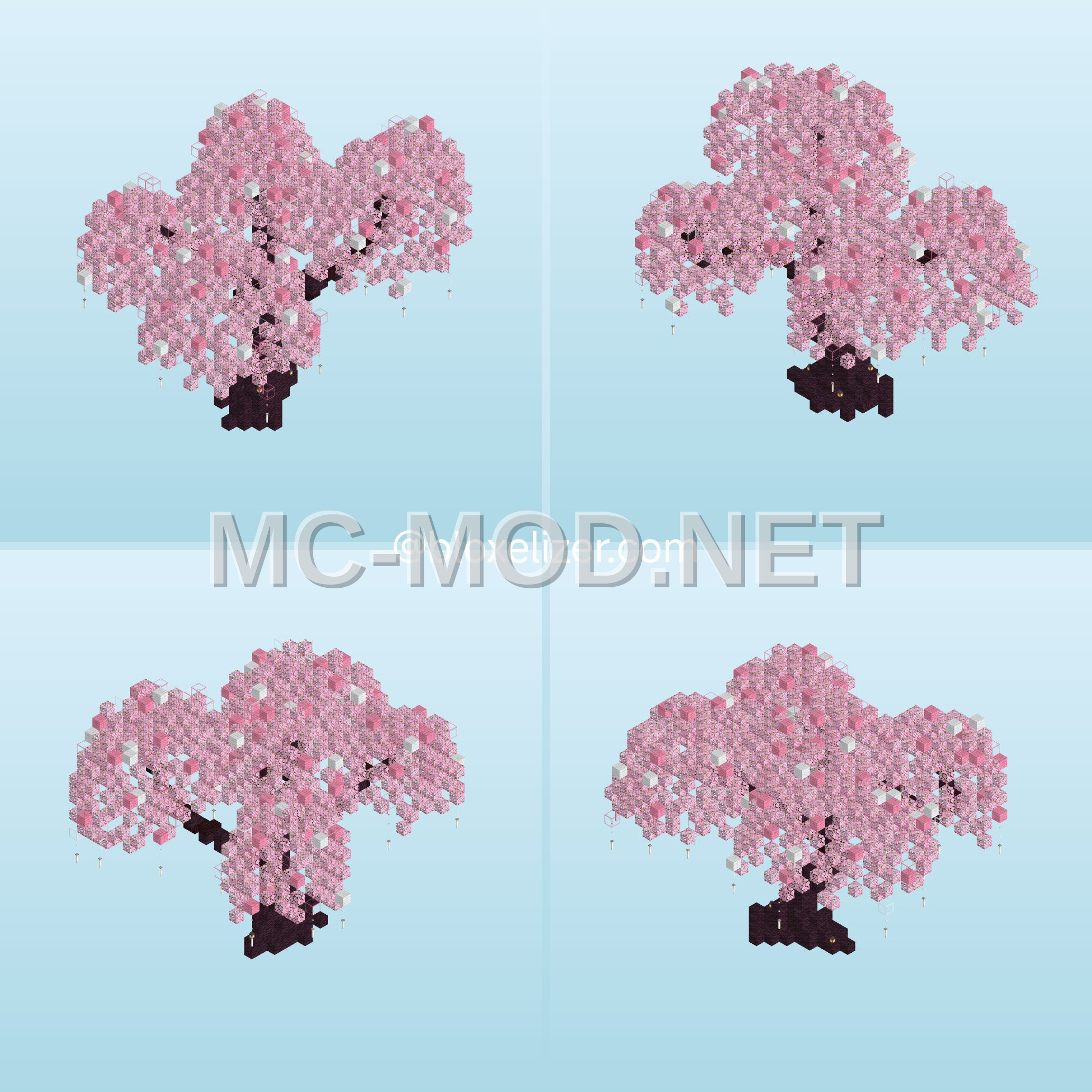 Cherry Blossom Tree