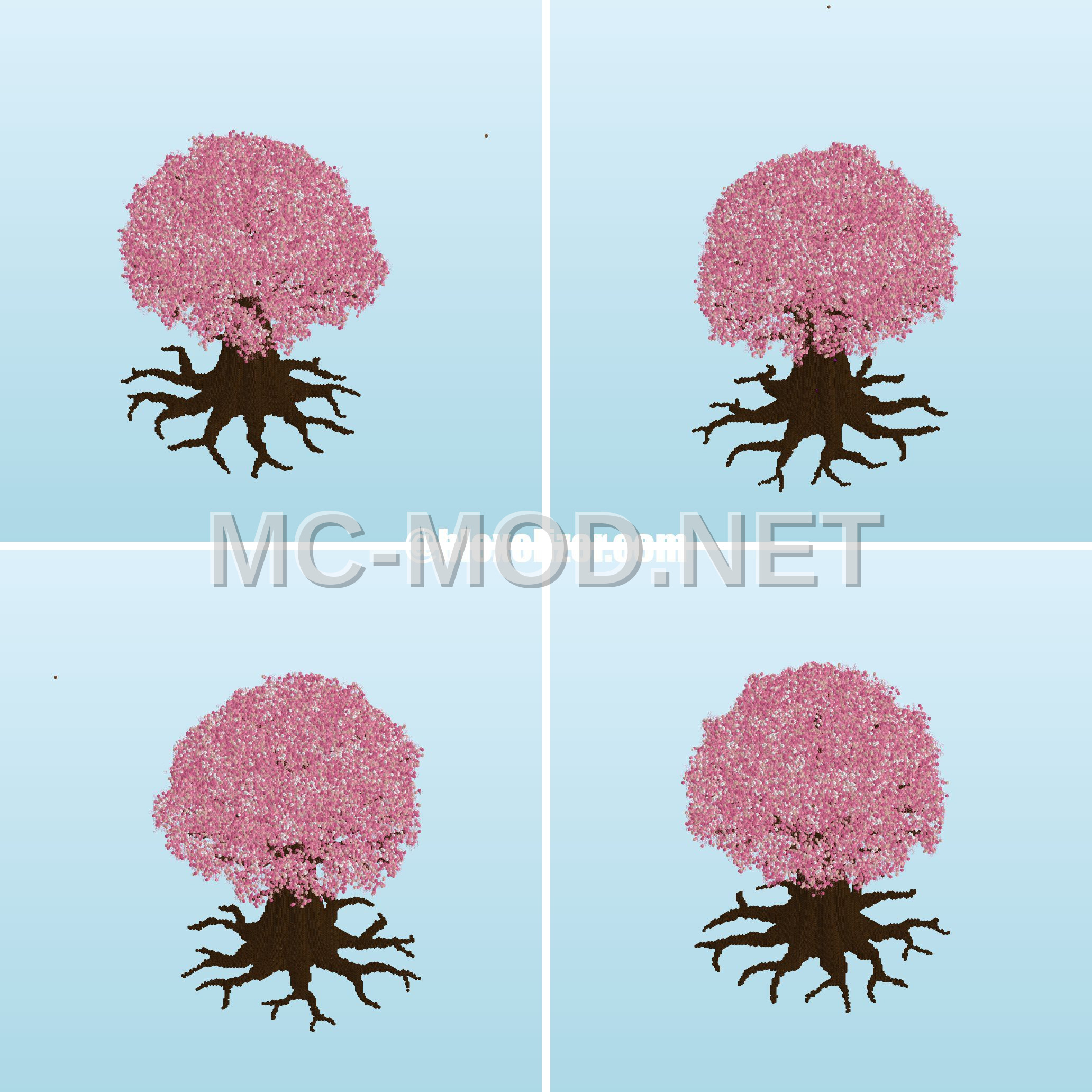 Cherry tree