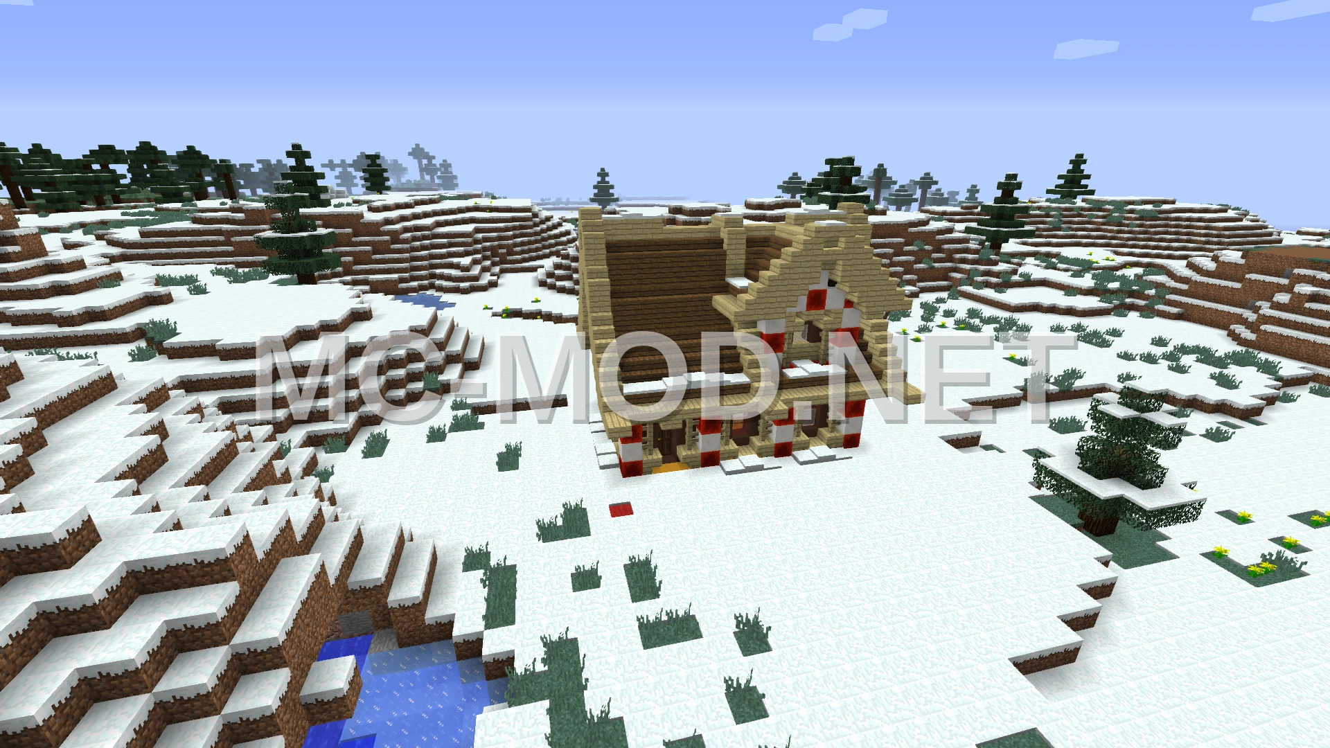 Festive Birch Christmas House