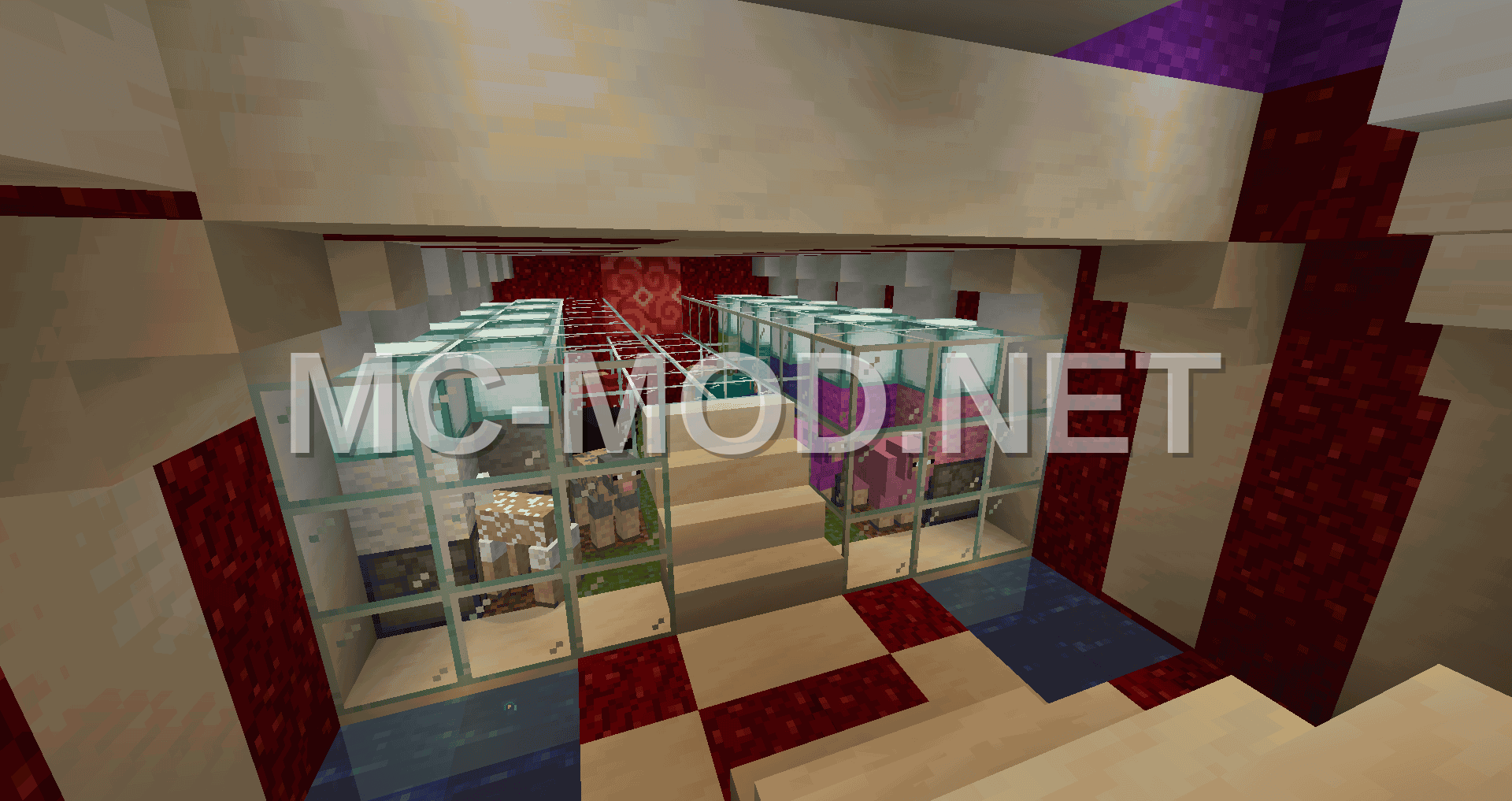 Colorful Sheep Farm With Sorting