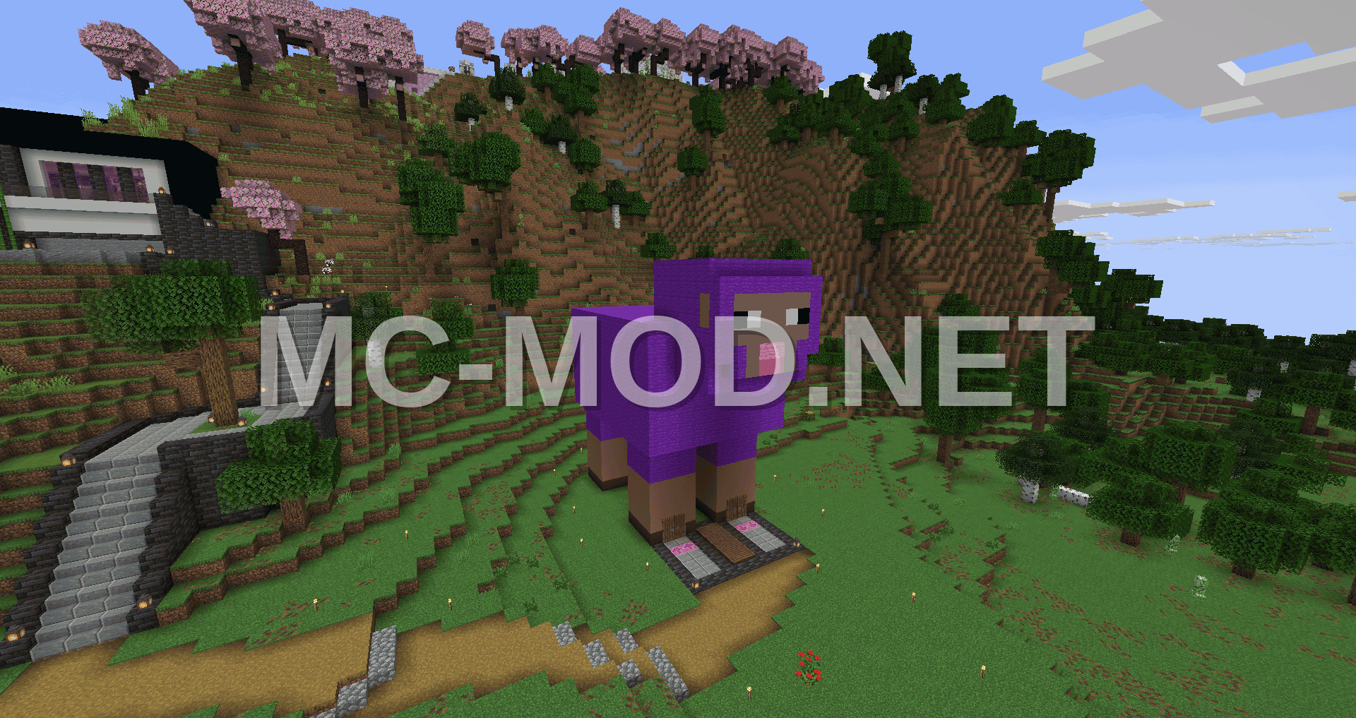 Colorful Sheep Farm With Sorting