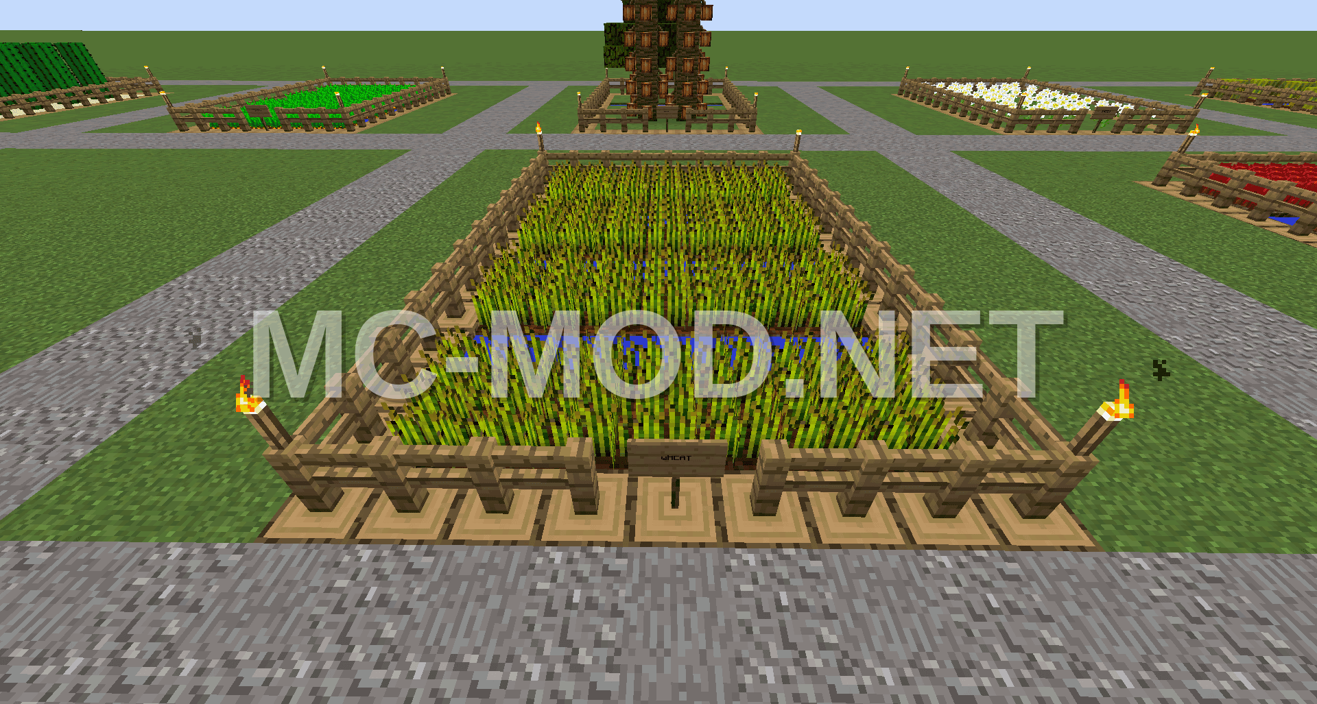 Compact Wheat Farm Structure